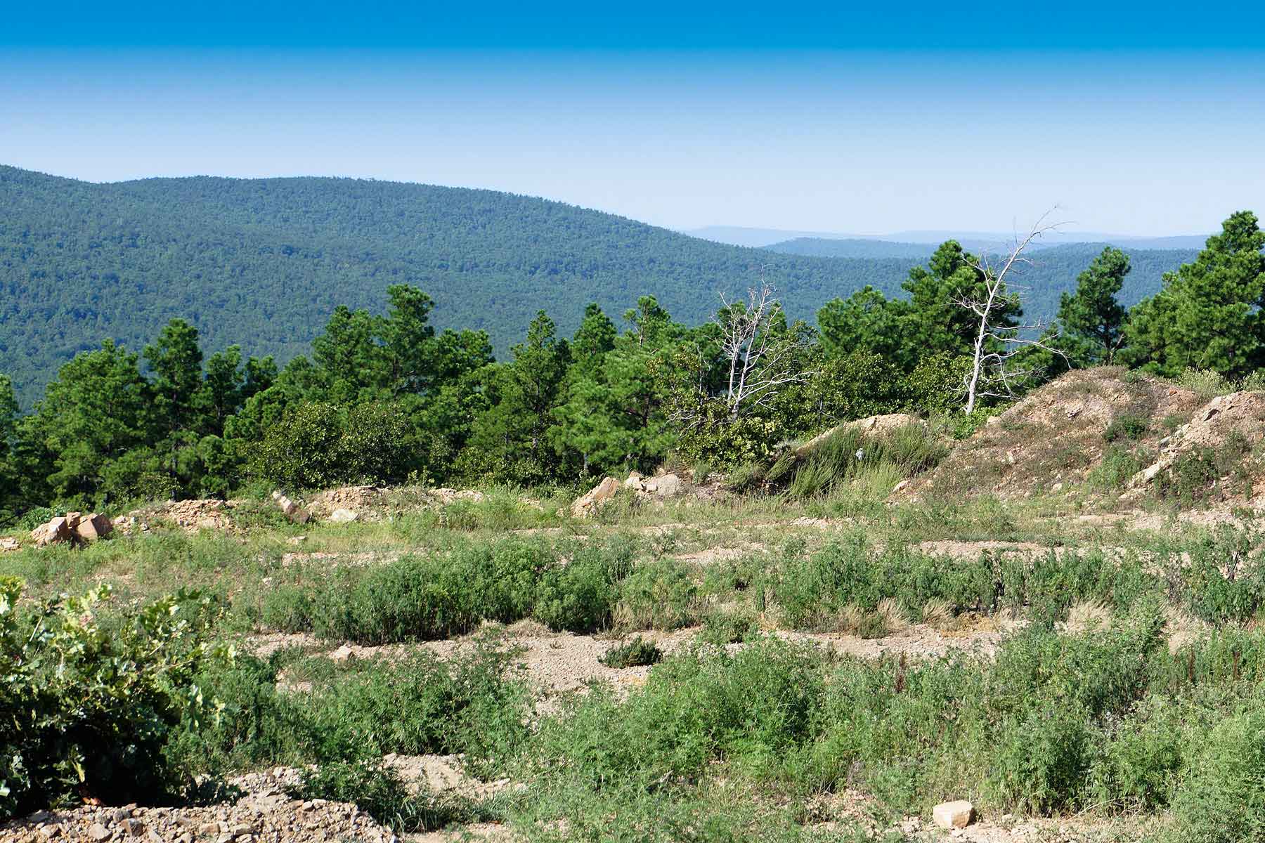 Eastern Oklahoma Timber property picture 14 of 23