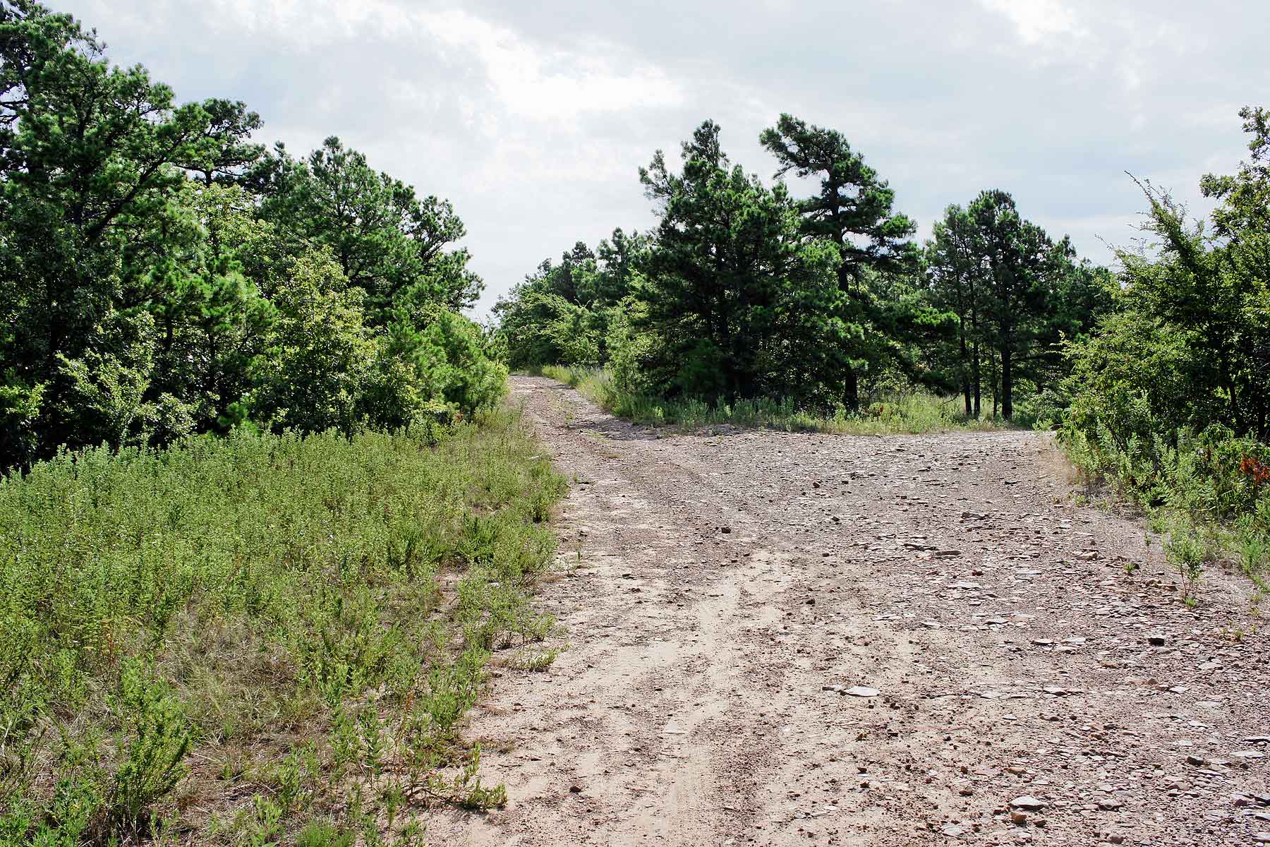 Eastern Oklahoma Timber property picture 15 of 23