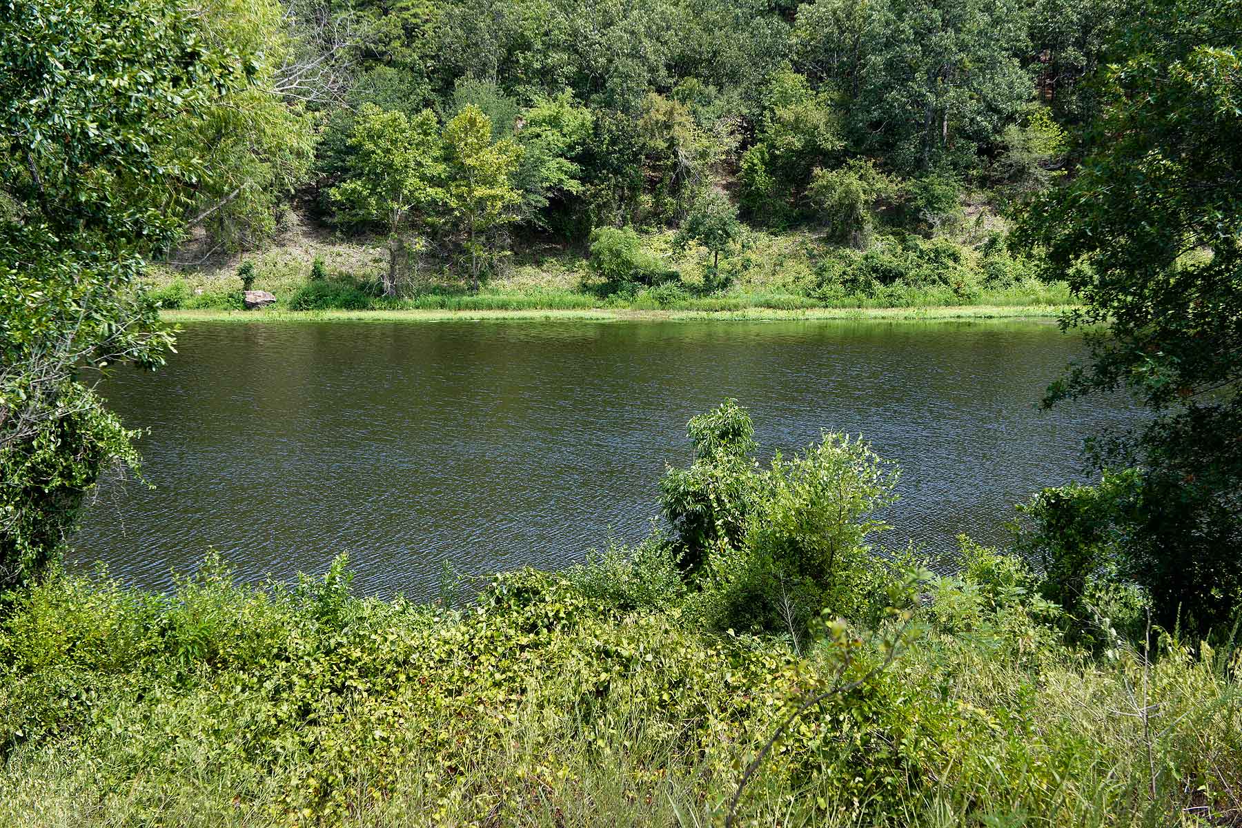 Eastern Oklahoma Timber property picture 16 of 23