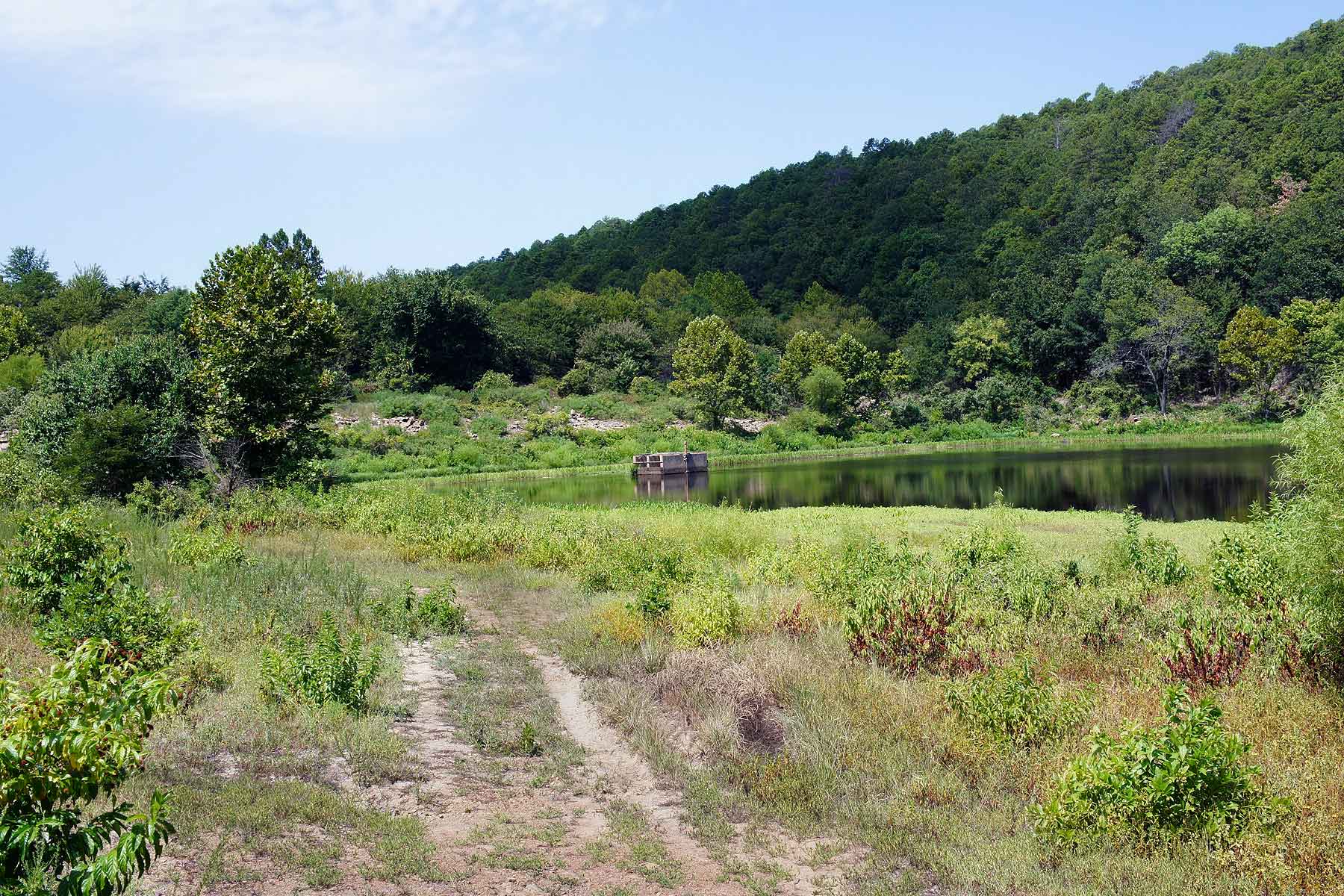Eastern Oklahoma Timber property picture 17 of 23