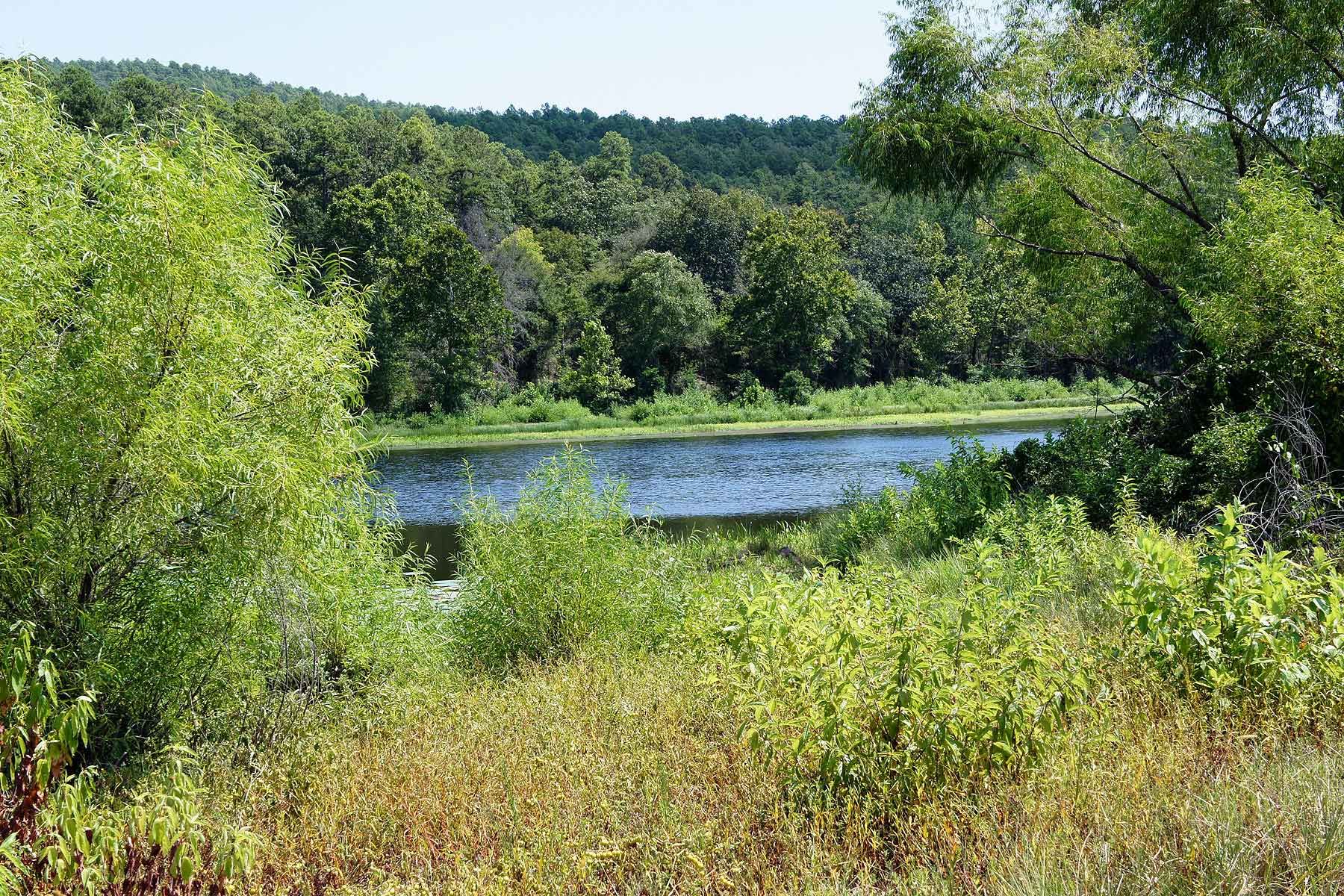 Eastern Oklahoma Timber property picture 18 of 23