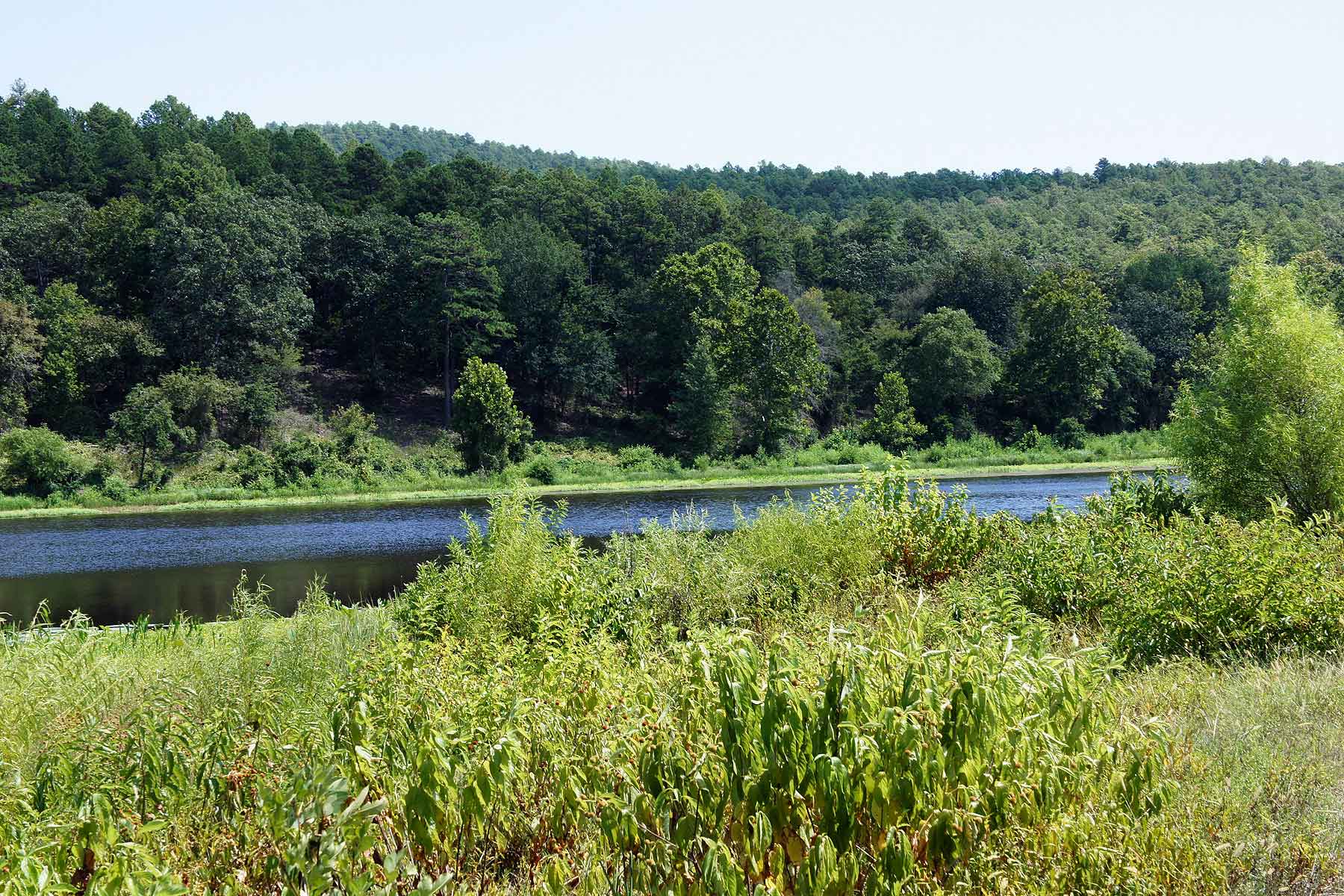 Eastern Oklahoma Timber property picture 19 of 23