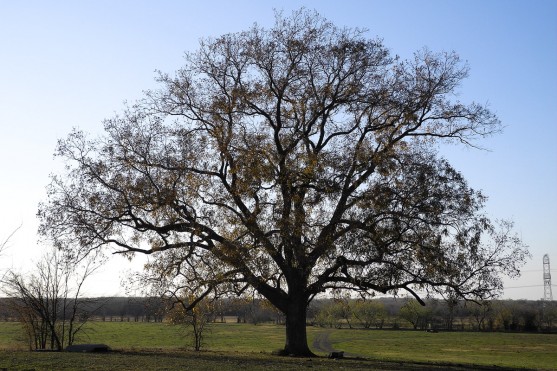 TRBP Ranch property picture 3 of 4