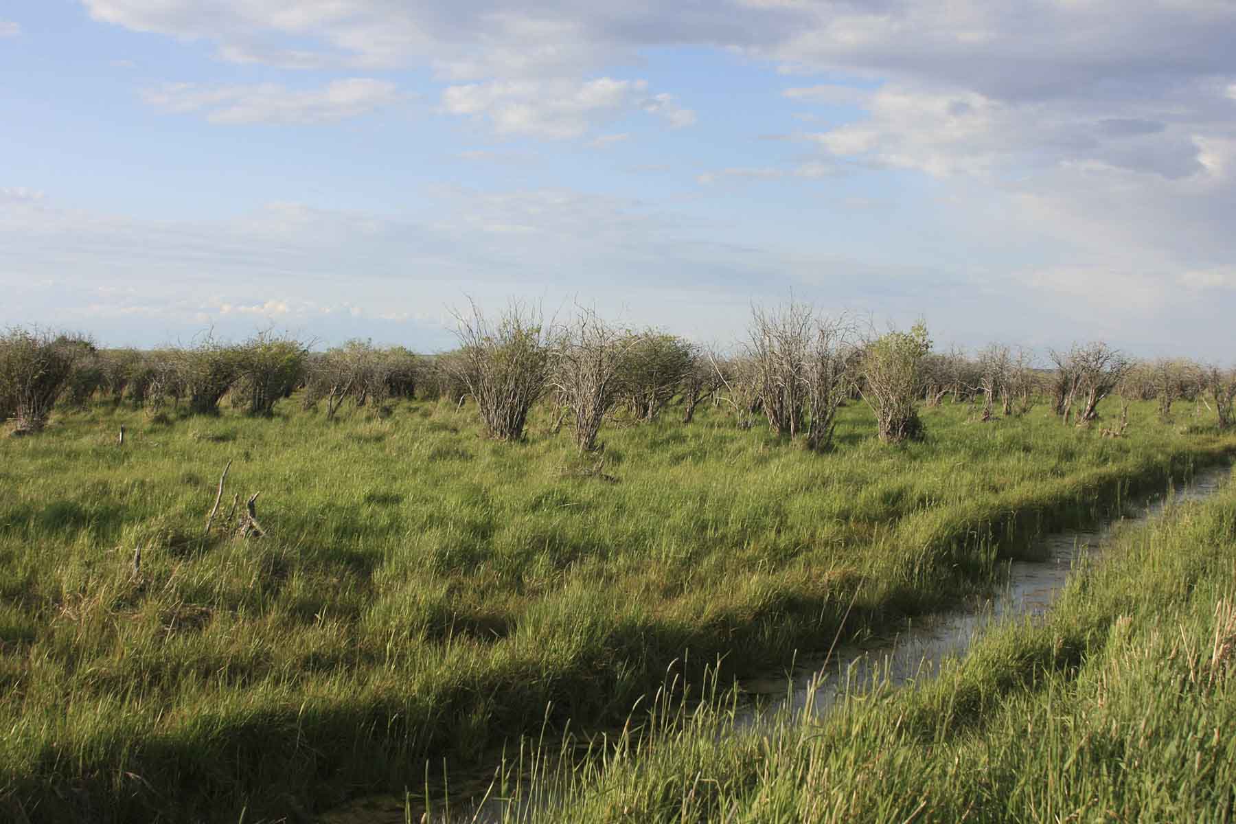 Truchot Farm property picture 2 of 13