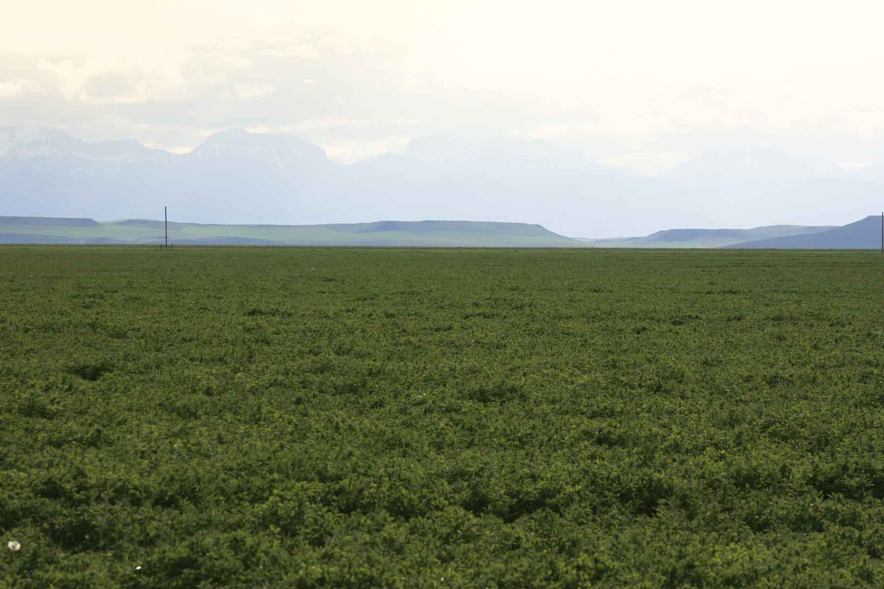 Truchot Farm property picture 13 of 13