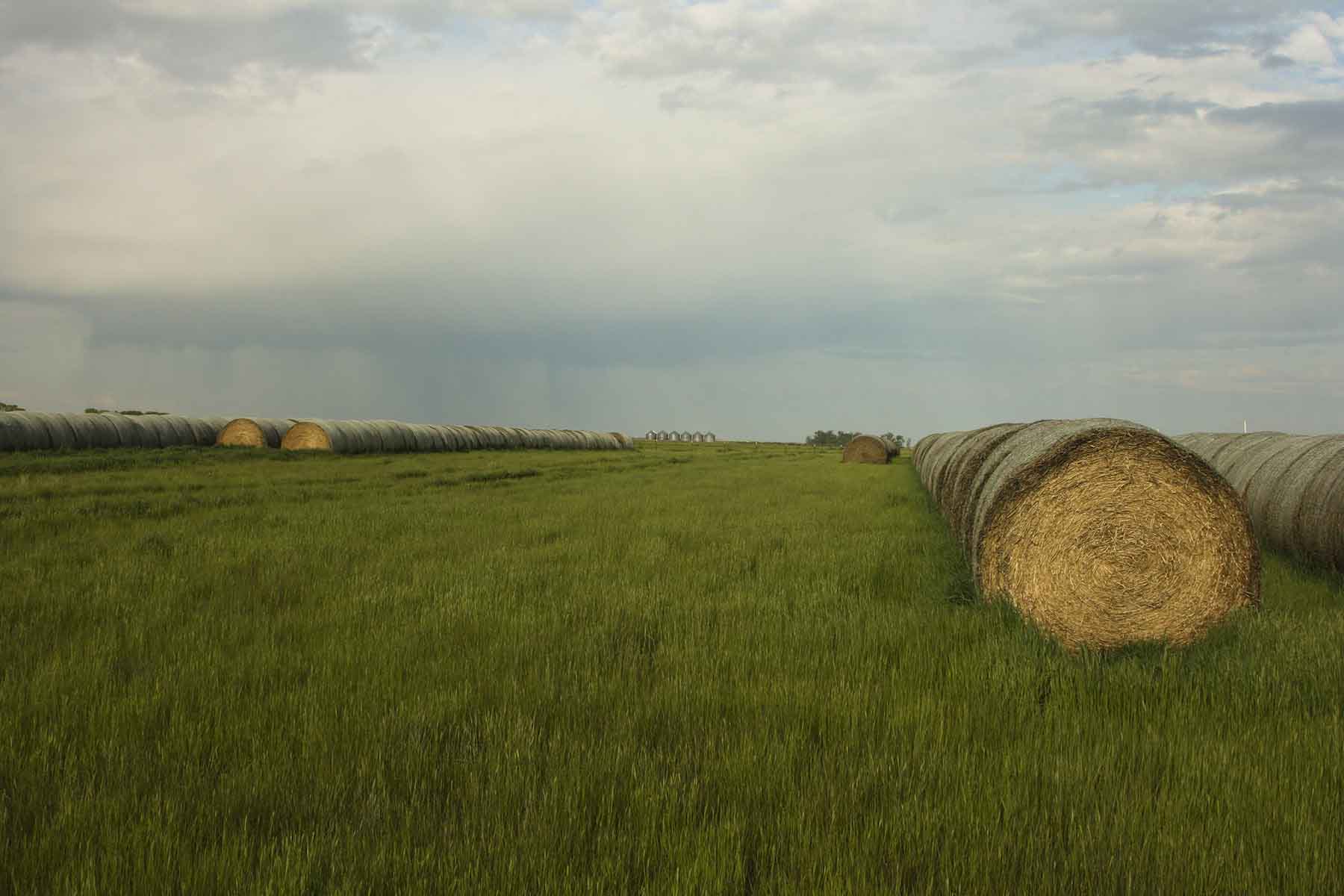 Truchot Farm property picture 12 of 13