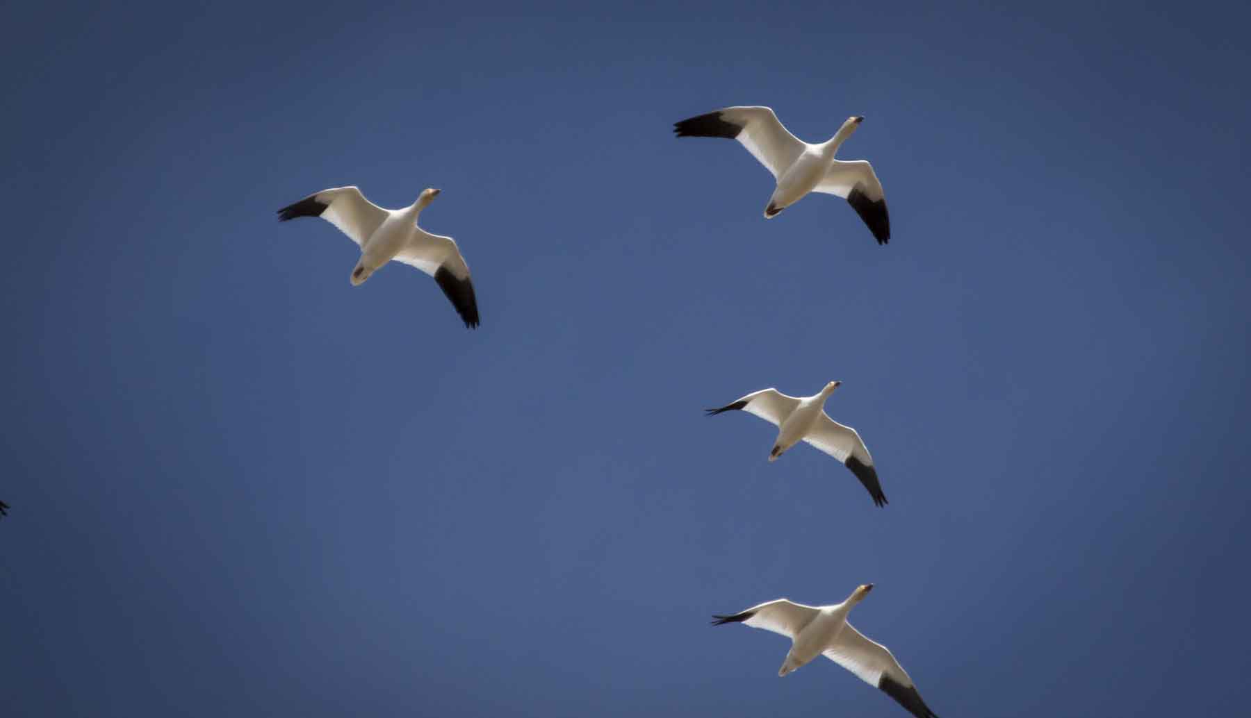 Truchot Farm property picture 11 of 13