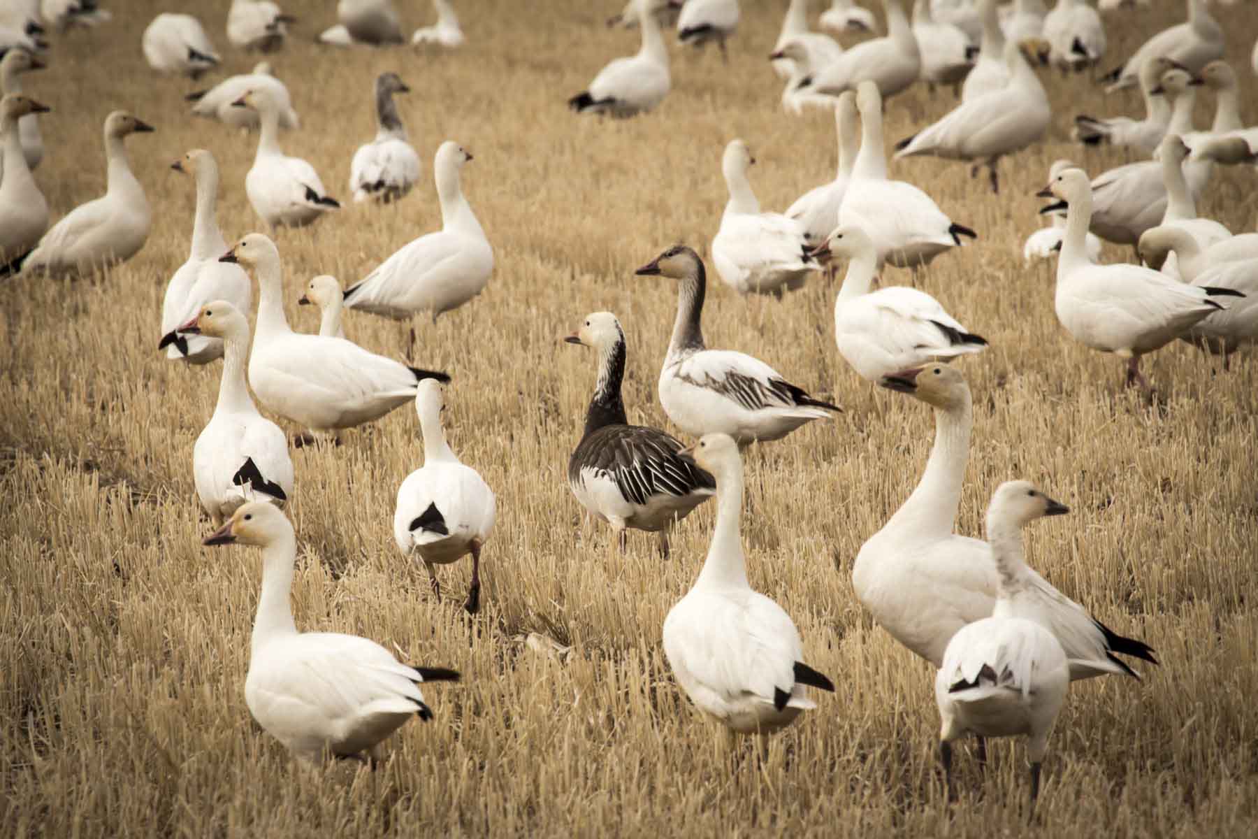 Truchot Farm property picture 9 of 13