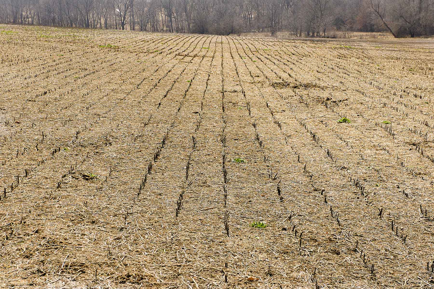 O'Dell Farms property picture 2 of 4