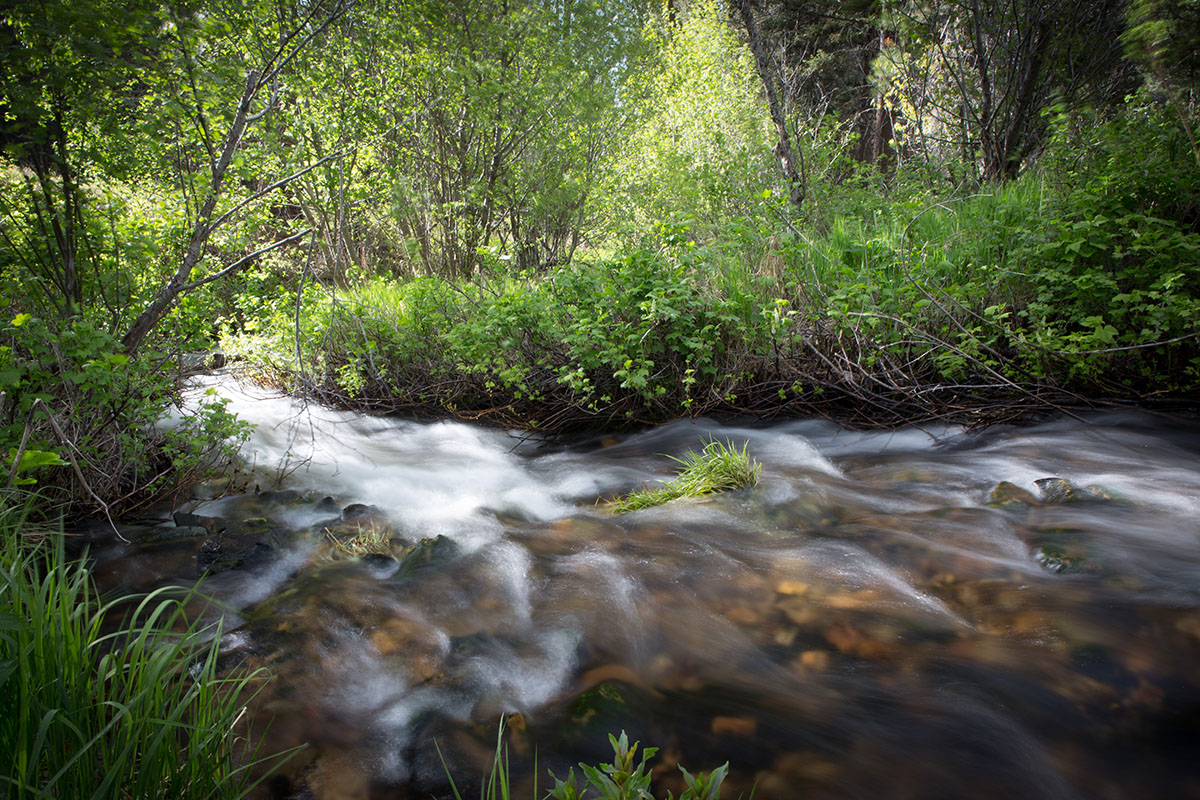 Rock Creek Fishing Ranch property picture 50 of 53