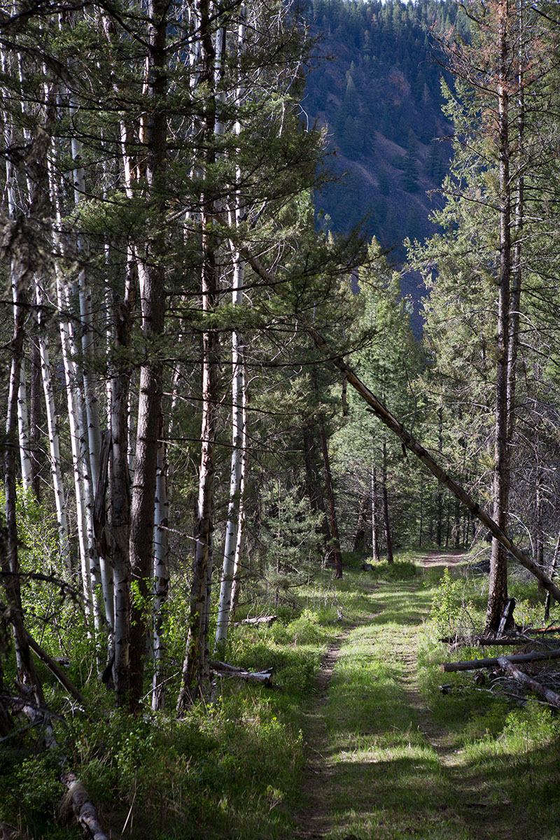 Rock Creek Fishing Ranch property picture 49 of 53