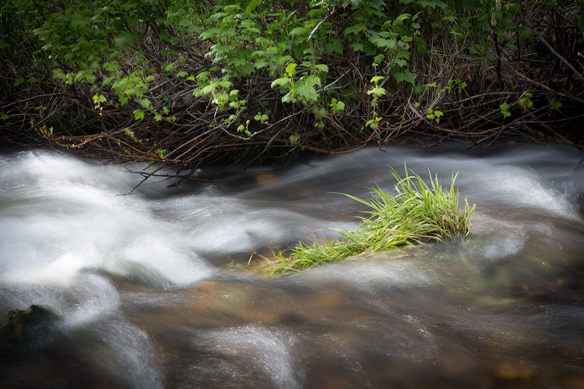 Rock Creek Fishing Ranch property picture 20 of 53