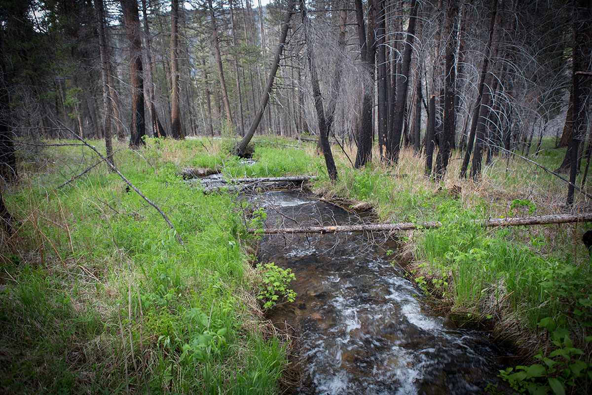 Rock Creek Fishing Ranch property picture 19 of 53