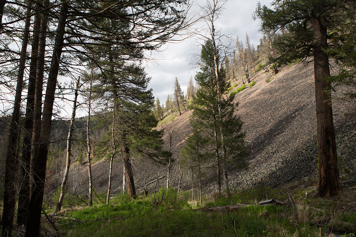 Rock Creek Fishing Ranch property picture 16 of 53