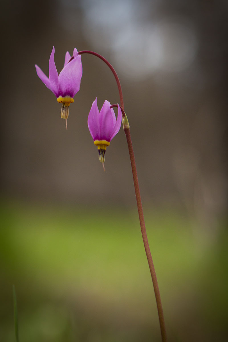 Rock Creek Fishing Ranch property picture 15 of 53