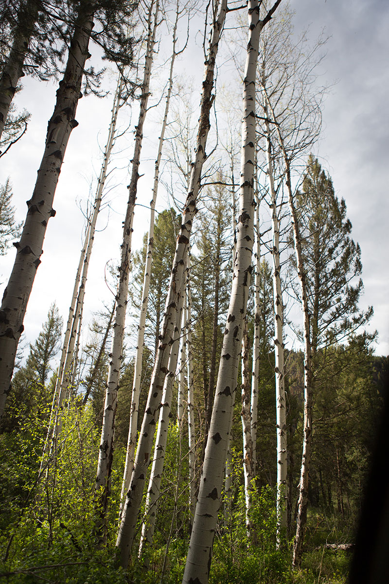 Rock Creek Fishing Ranch property picture 14 of 53