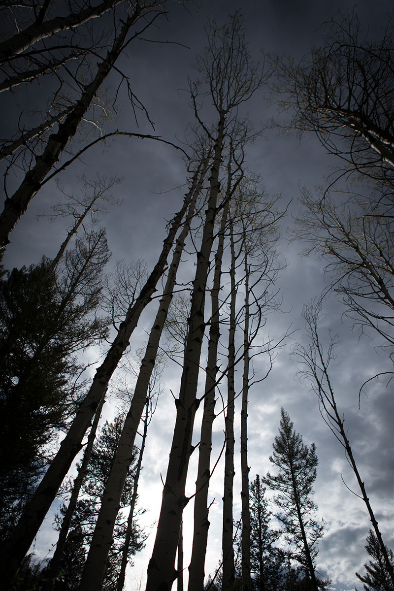 Rock Creek Fishing Ranch property picture 13 of 53