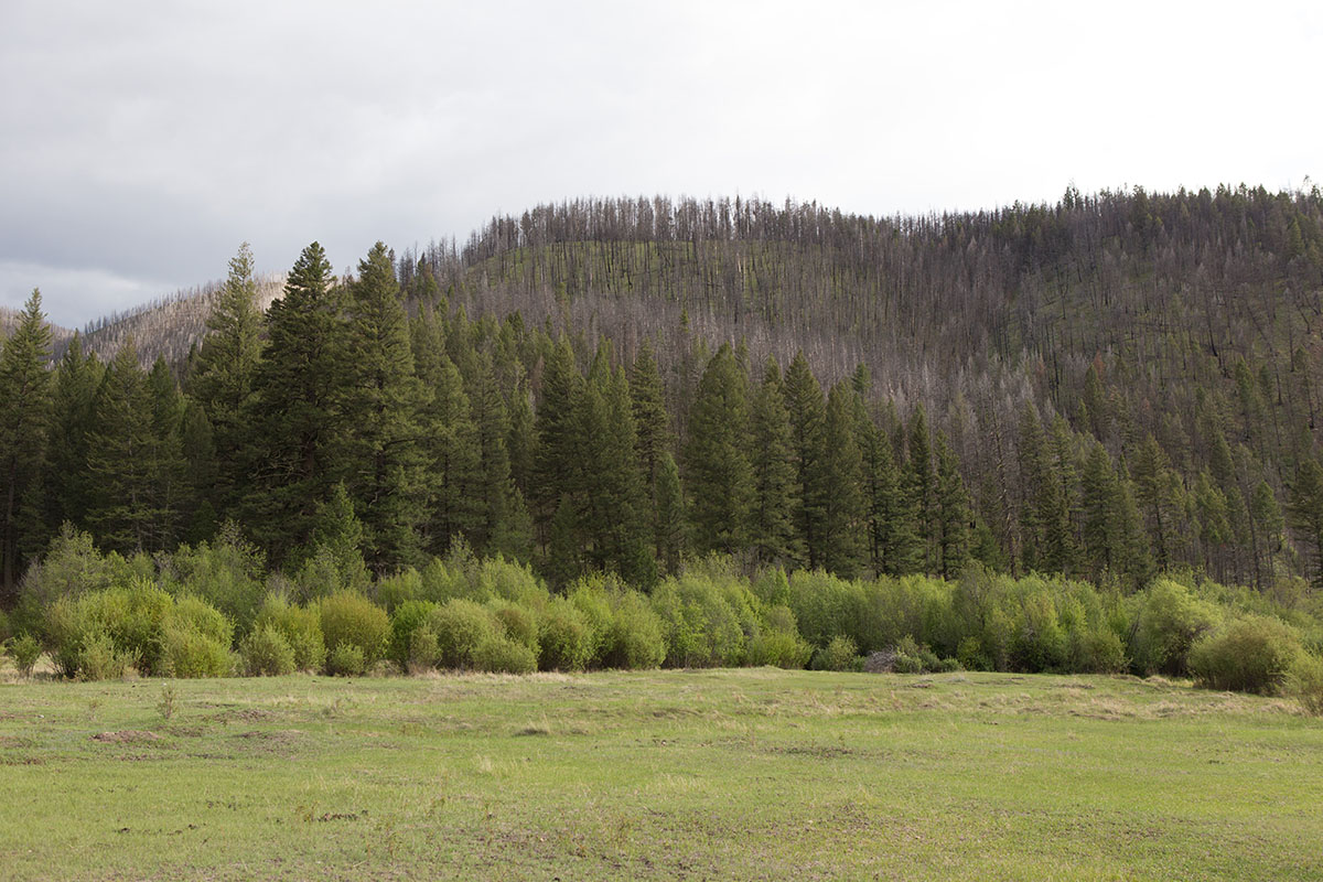 Rock Creek Fishing Ranch property picture 8 of 53