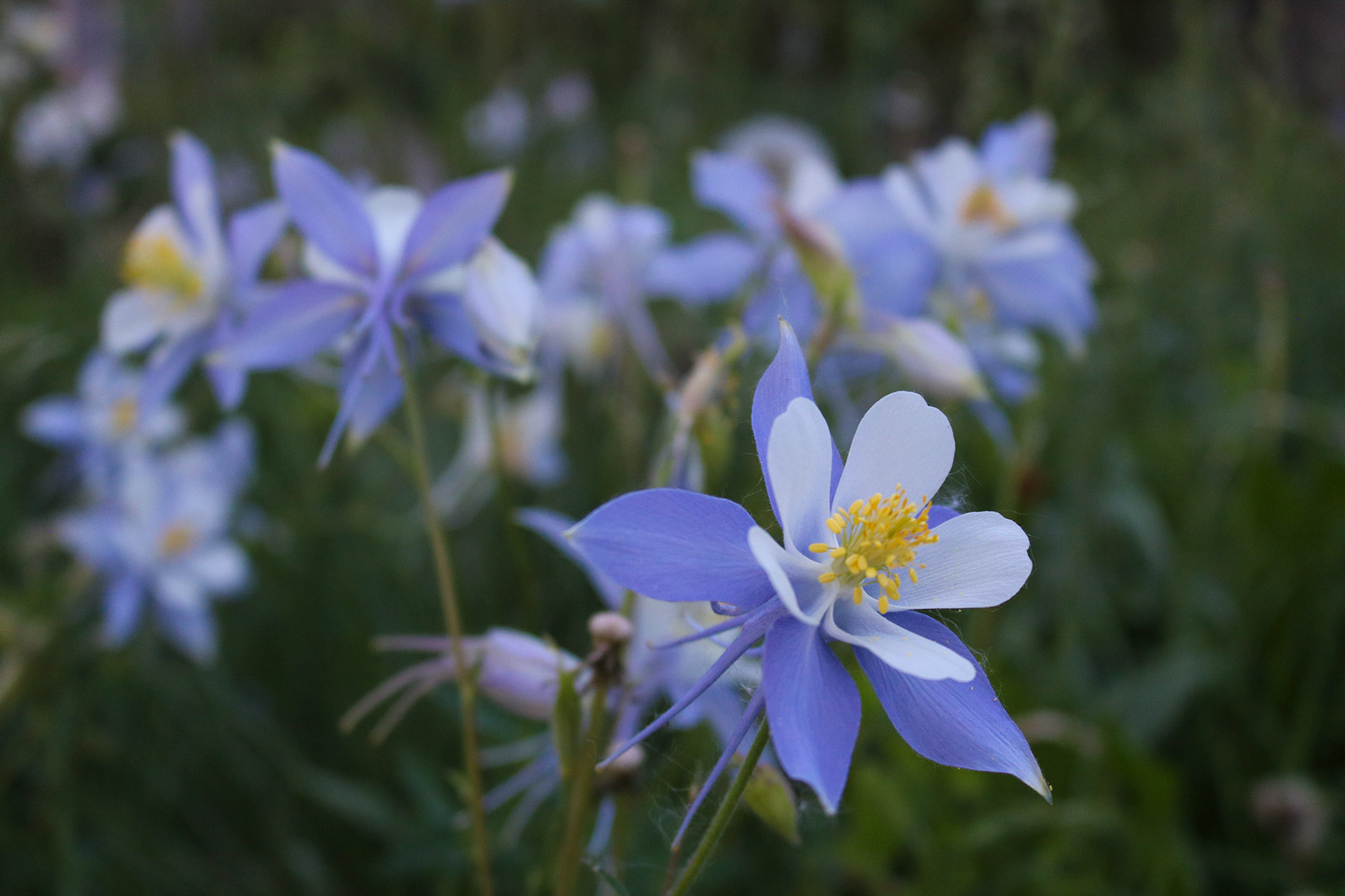 Aspen Ridge Ranch property picture 46 of 47