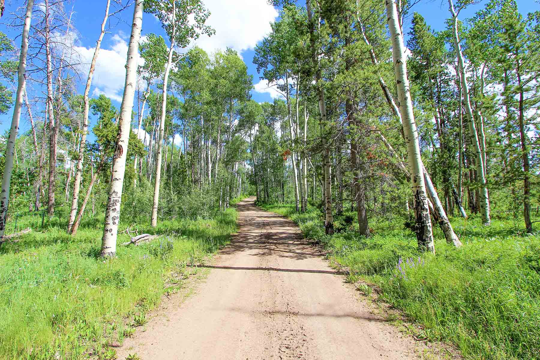 Aspen Ridge Ranch property picture 6 of 47