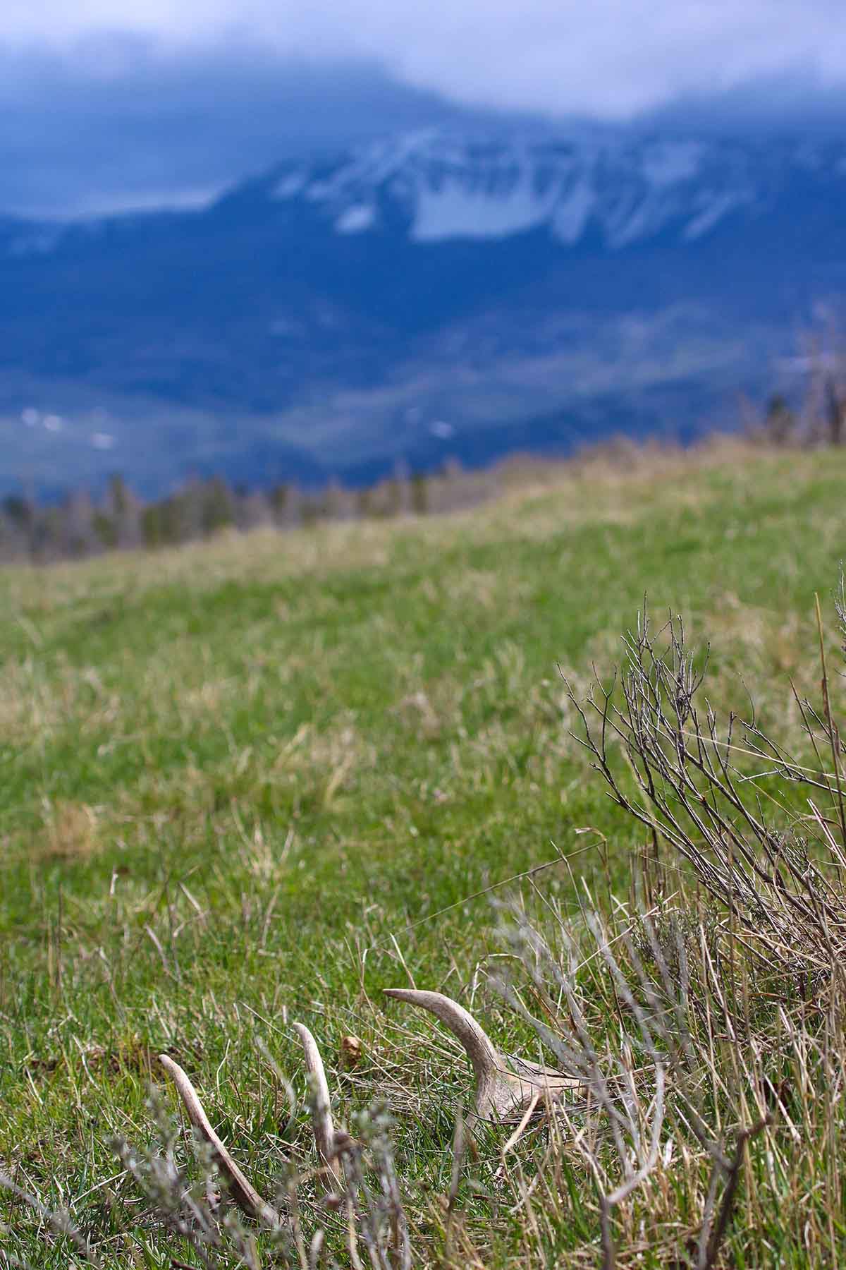 Aspen Ridge Ranch property picture 11 of 47