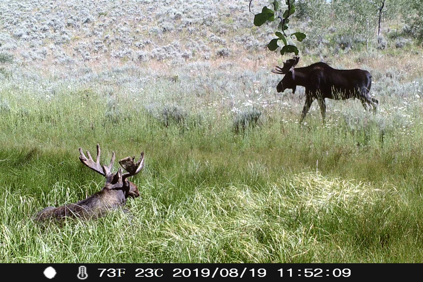 Aspen Ridge Ranch property picture 5 of 47