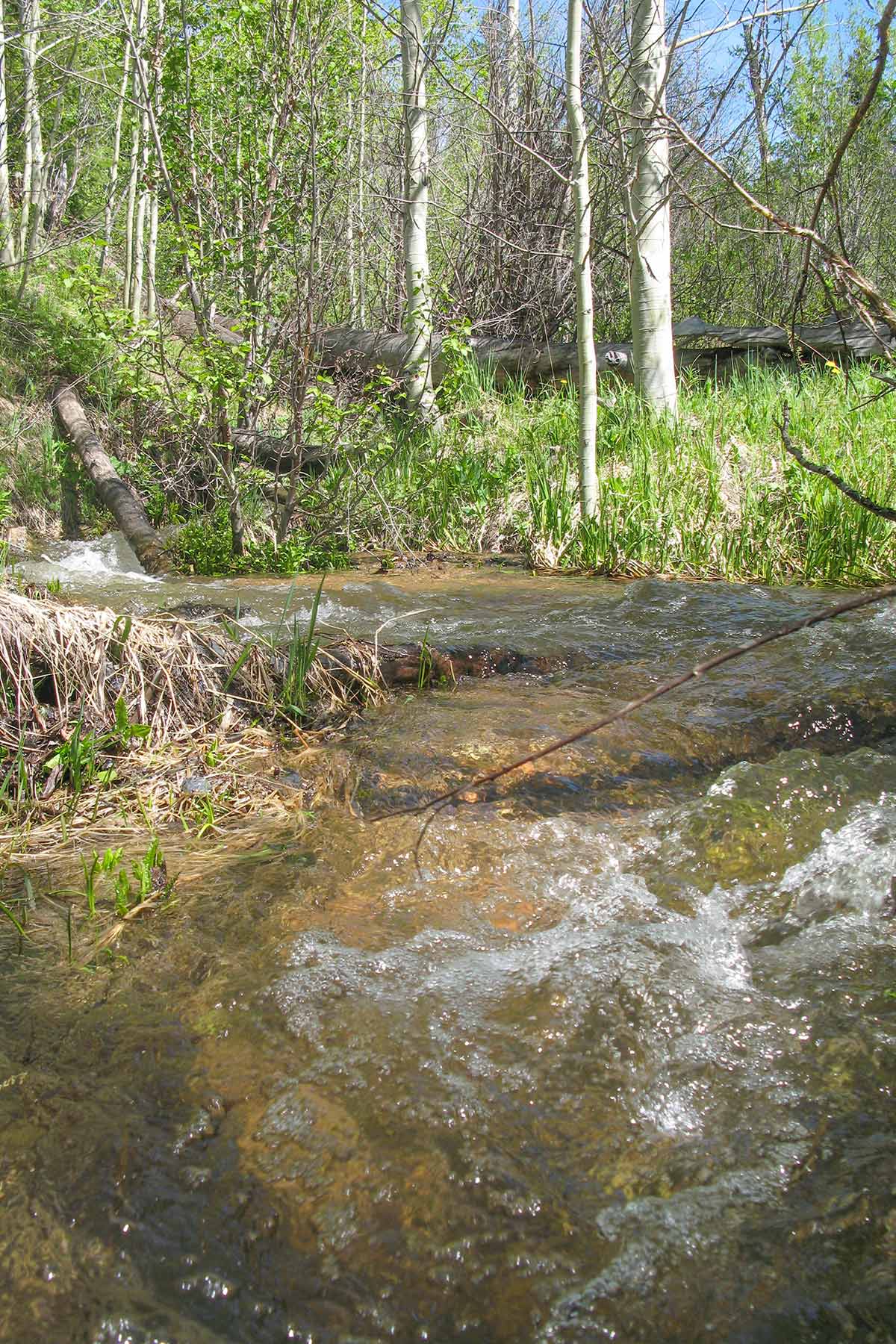 Aspen Ridge Ranch property picture 20 of 47