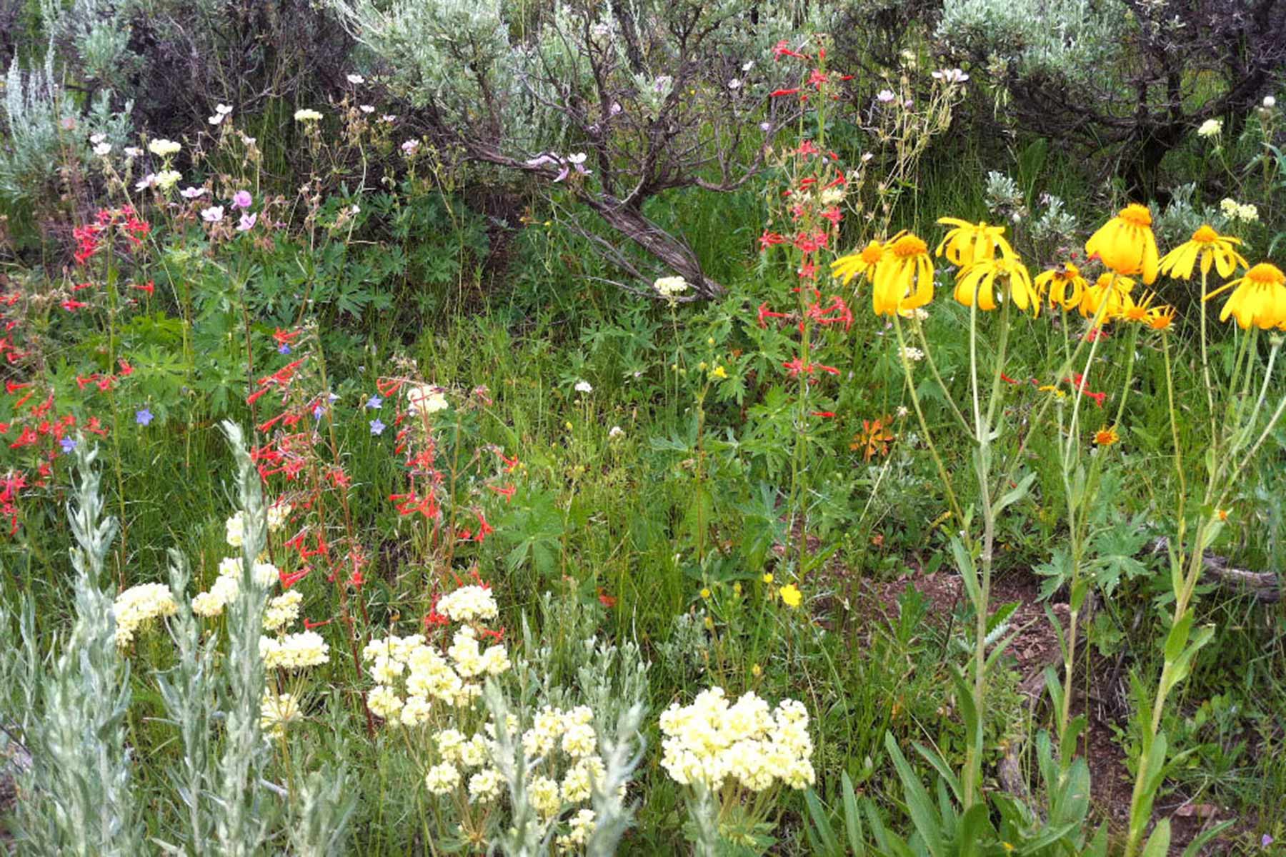 Aspen Ridge Ranch property picture 19 of 47