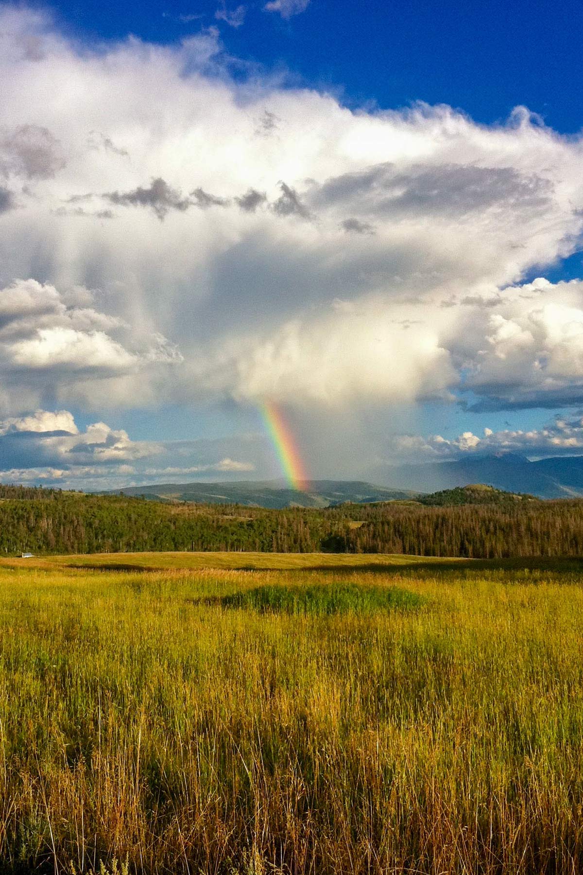 Aspen Ridge Ranch property picture 23 of 47