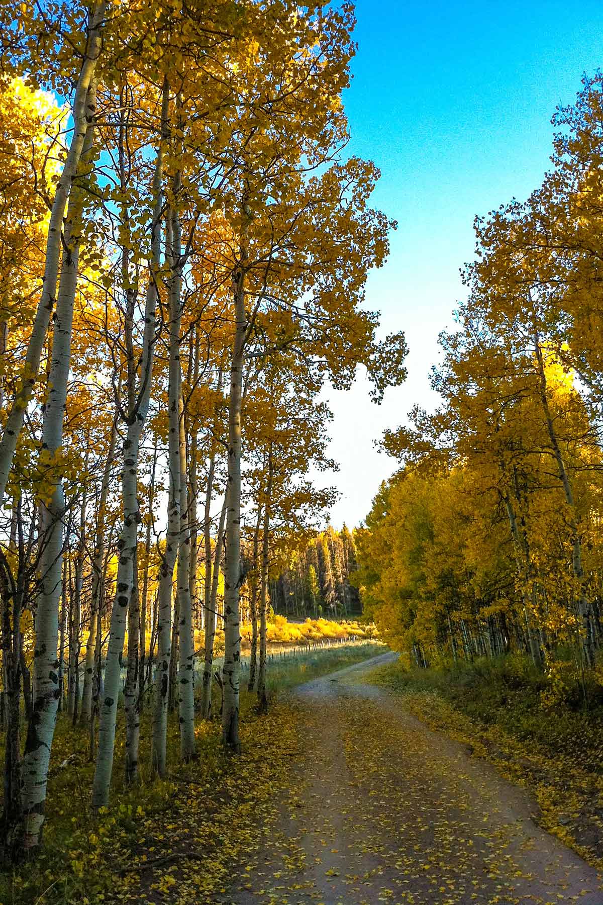 Aspen Ridge Ranch property picture 25 of 47