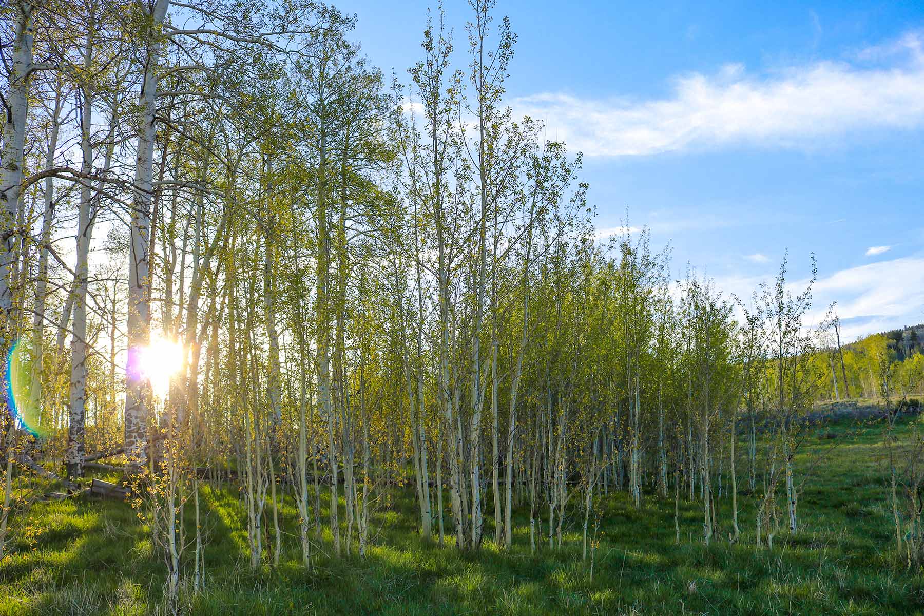 Aspen Ridge Ranch property picture 13 of 47