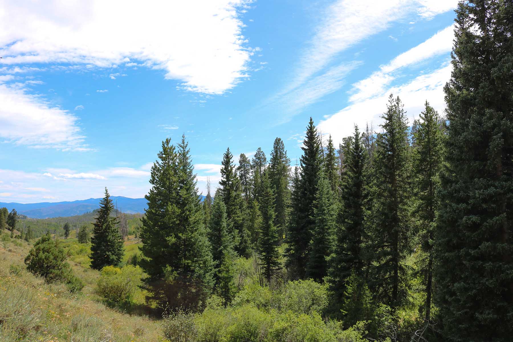 Aspen Ridge Ranch property picture 10 of 47