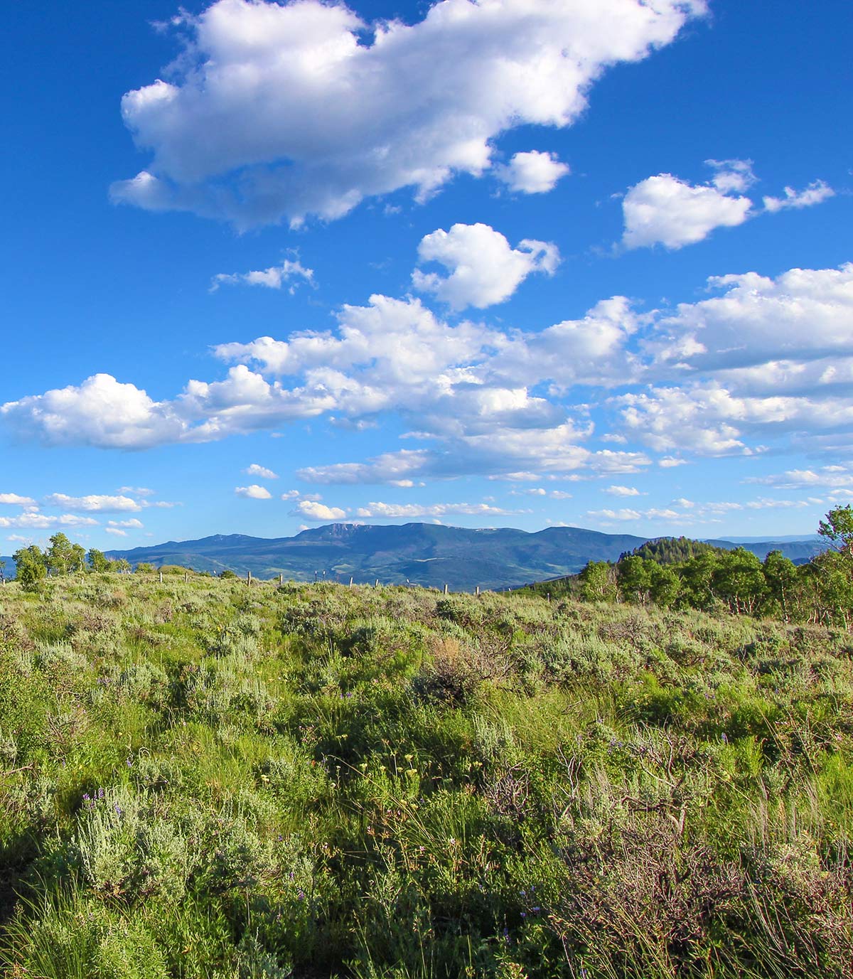 Aspen Ridge Ranch property picture 42 of 47