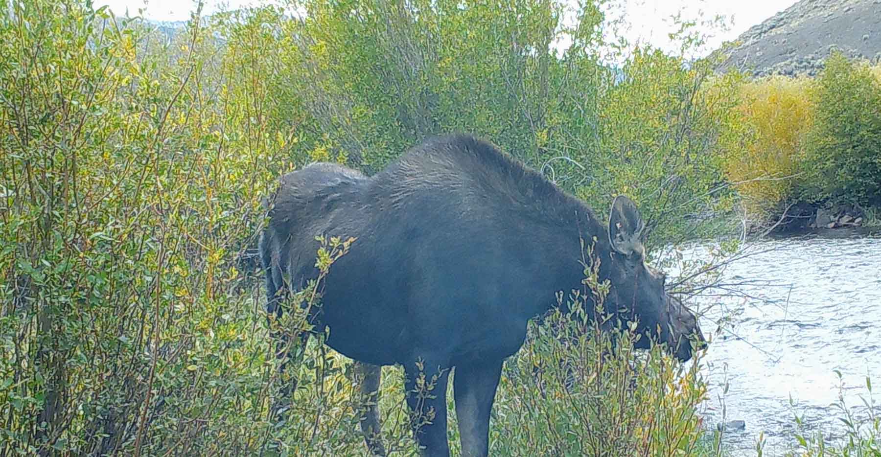 Castle Rock Ranch property picture 37 of 47