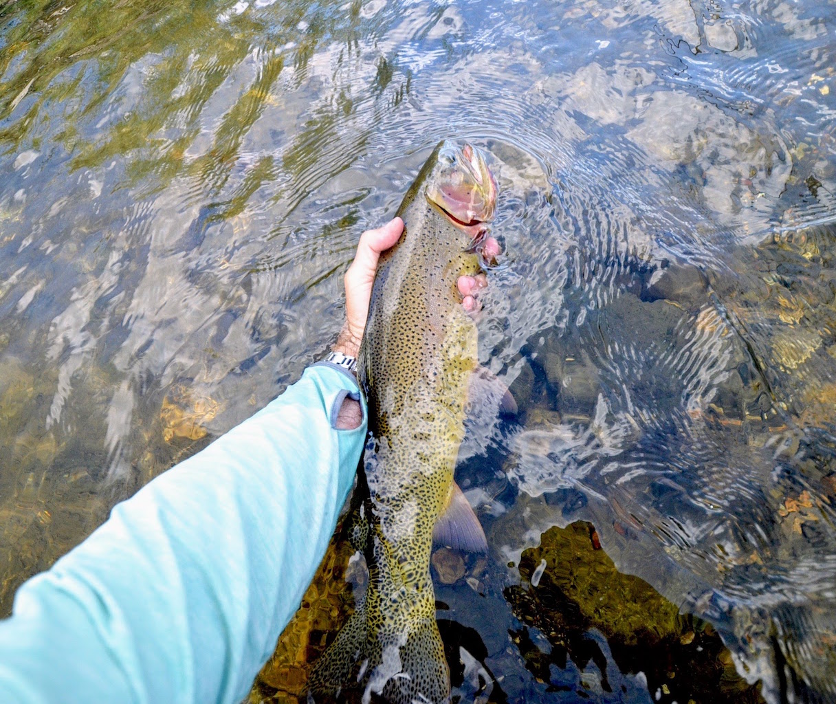 Castle Rock Ranch property picture 18 of 47