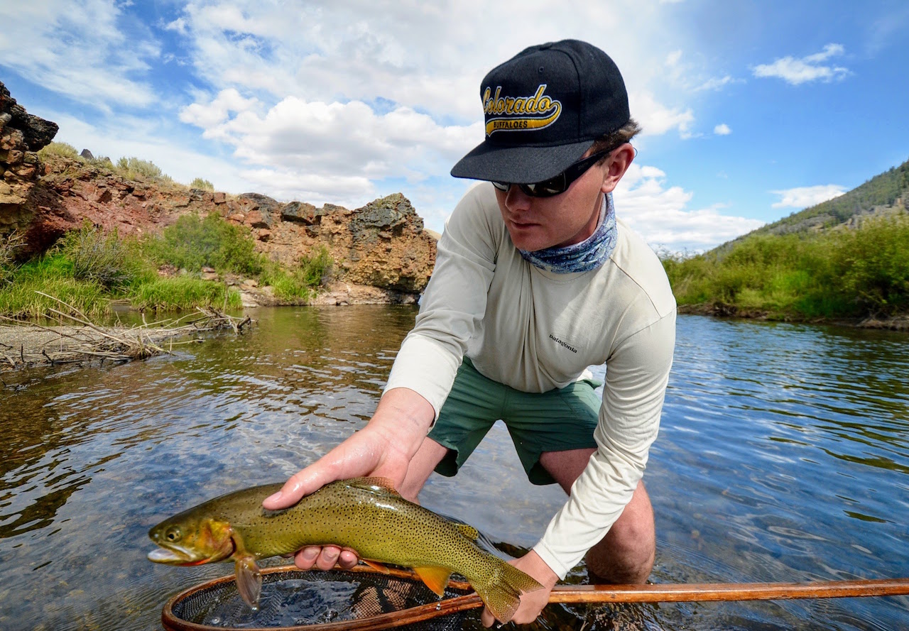Castle Rock Ranch property picture 17 of 47
