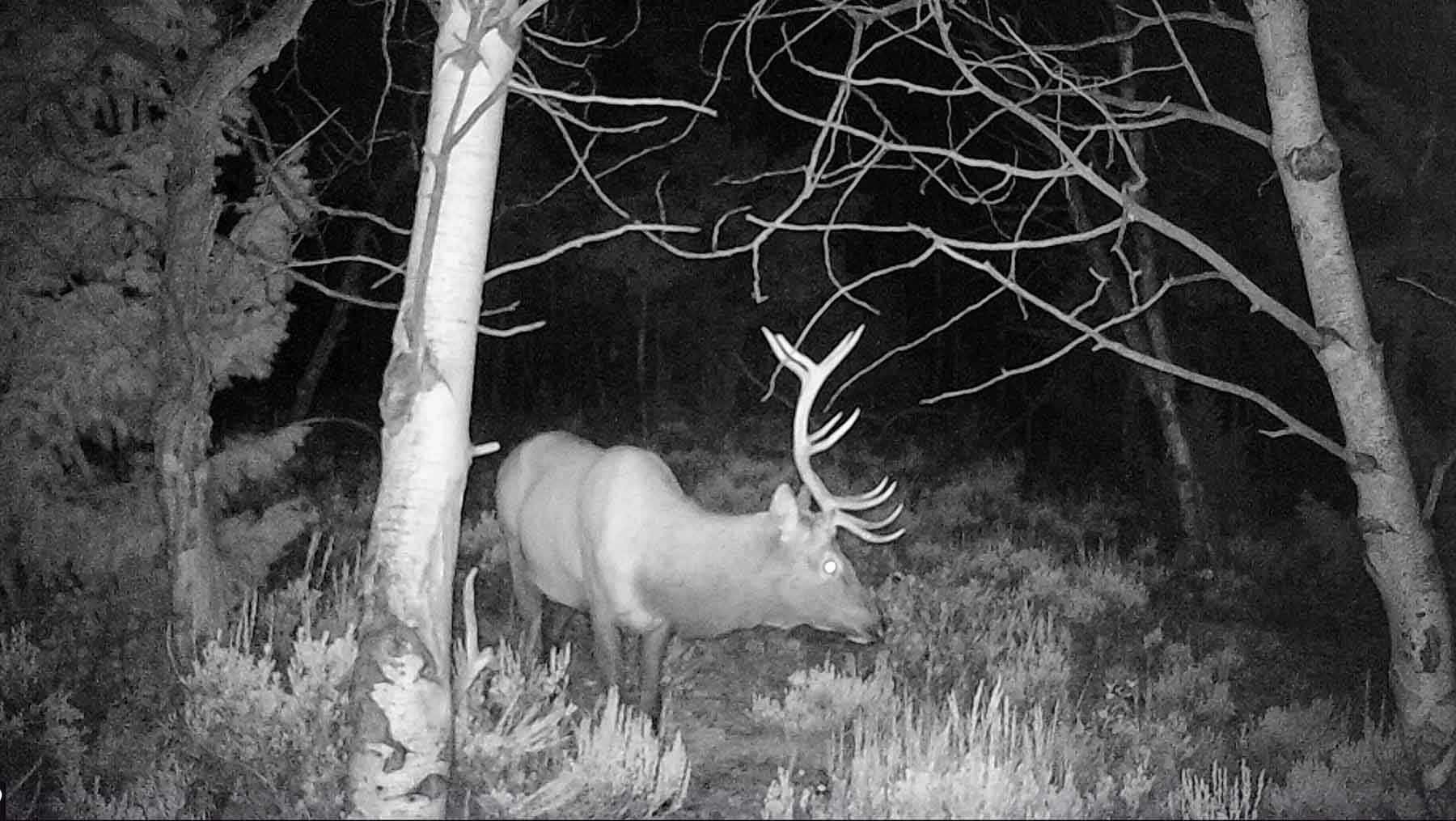 Castle Rock Ranch property picture 38 of 47