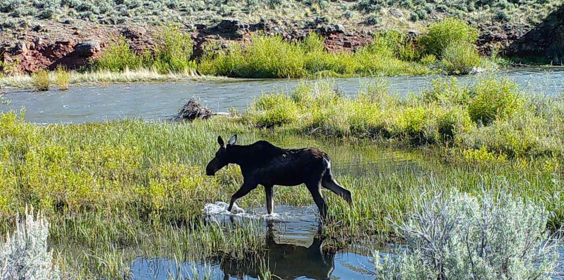Castle Rock Ranch property picture 40 of 47