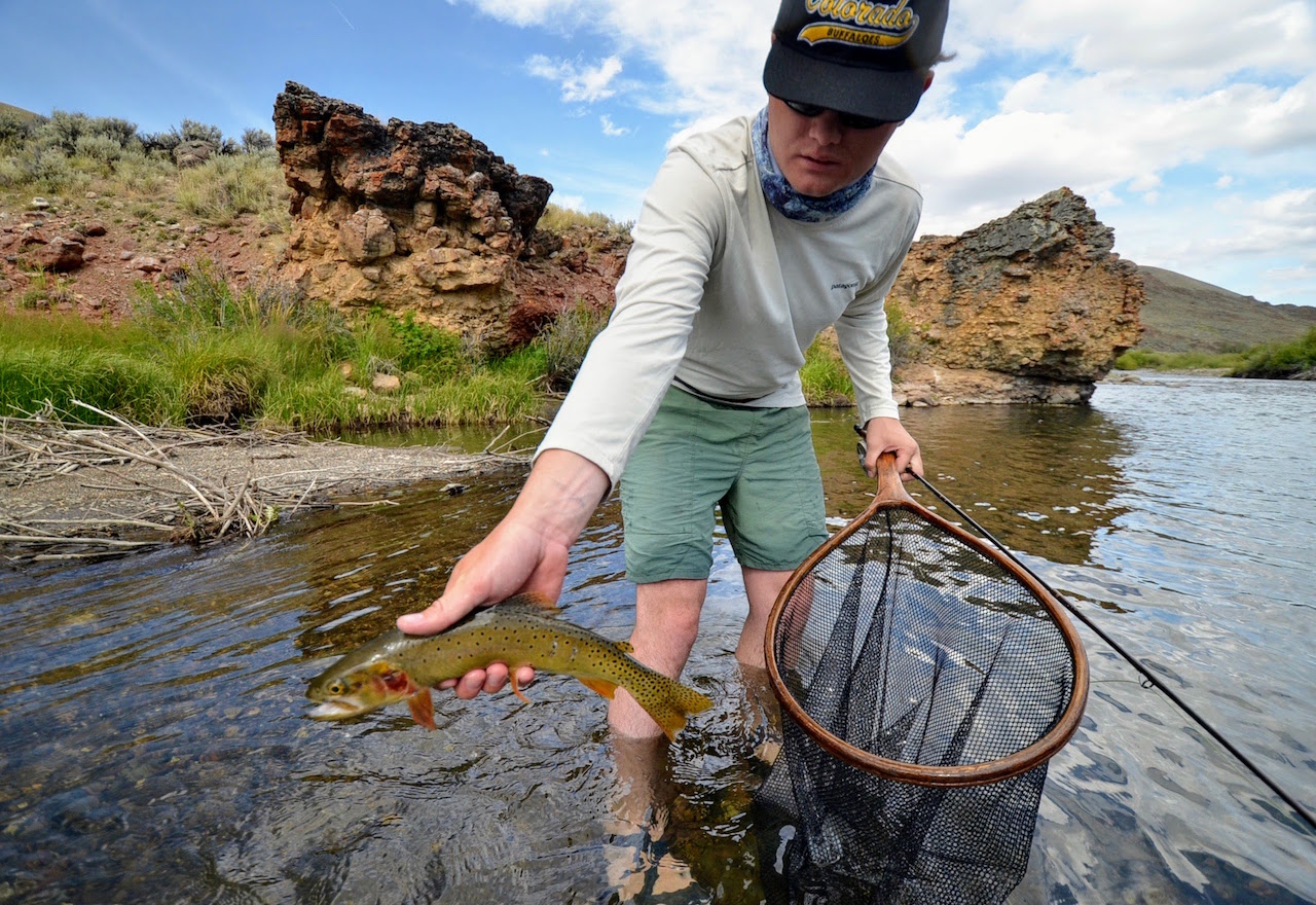 Castle Rock Ranch property picture 19 of 47
