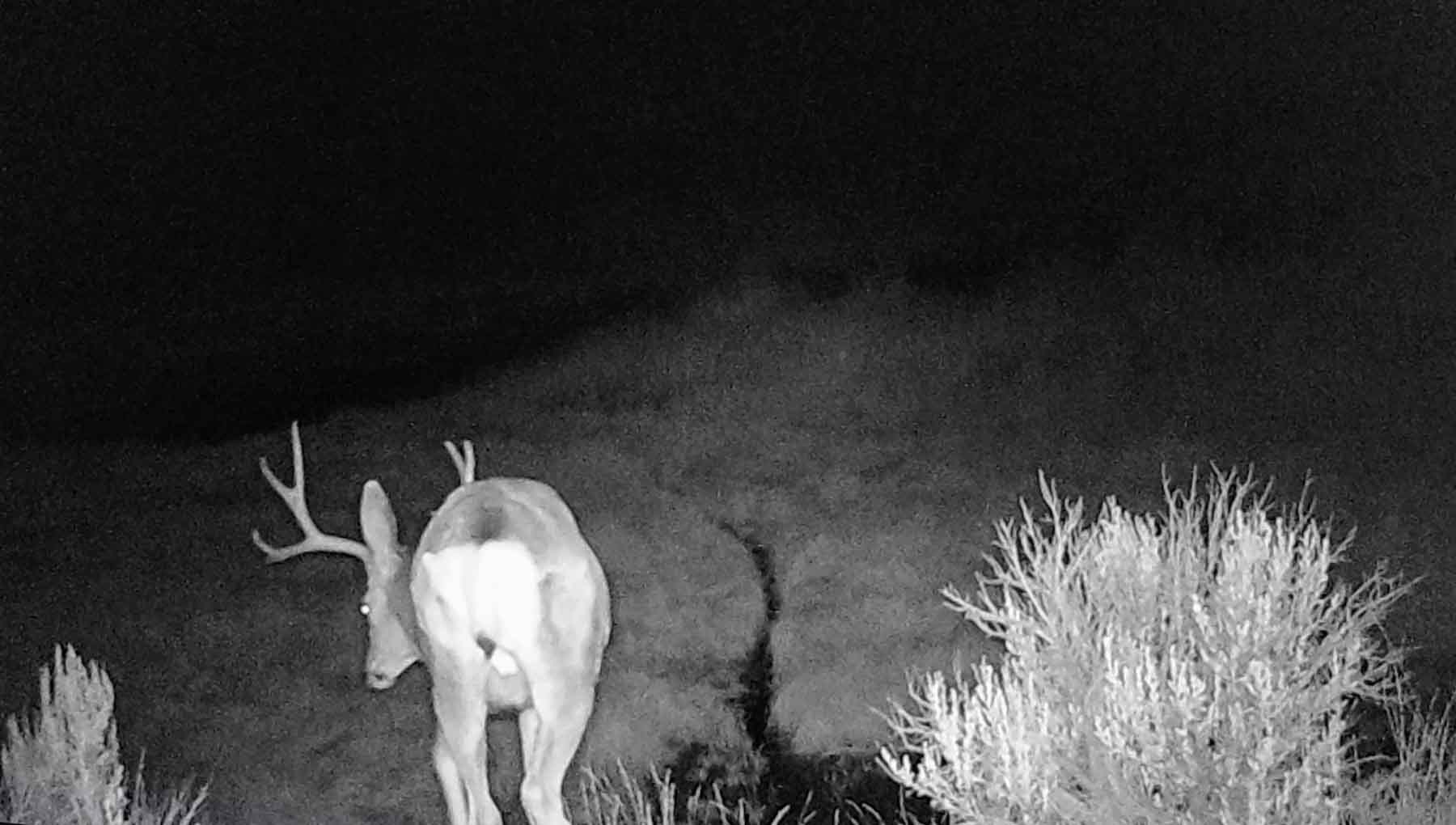 Castle Rock Ranch property picture 39 of 47