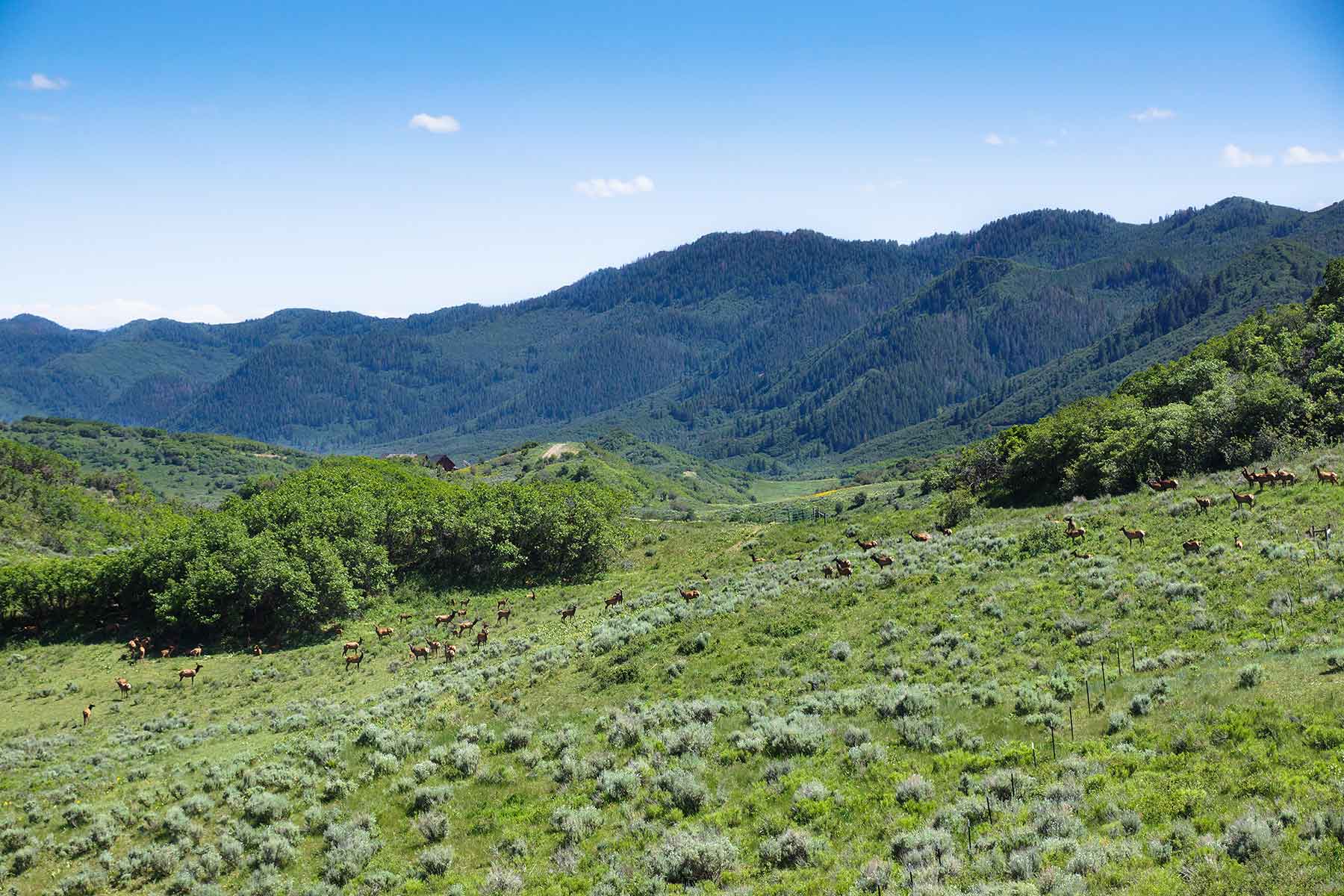 Turgoose Ranch property picture 3 of 22