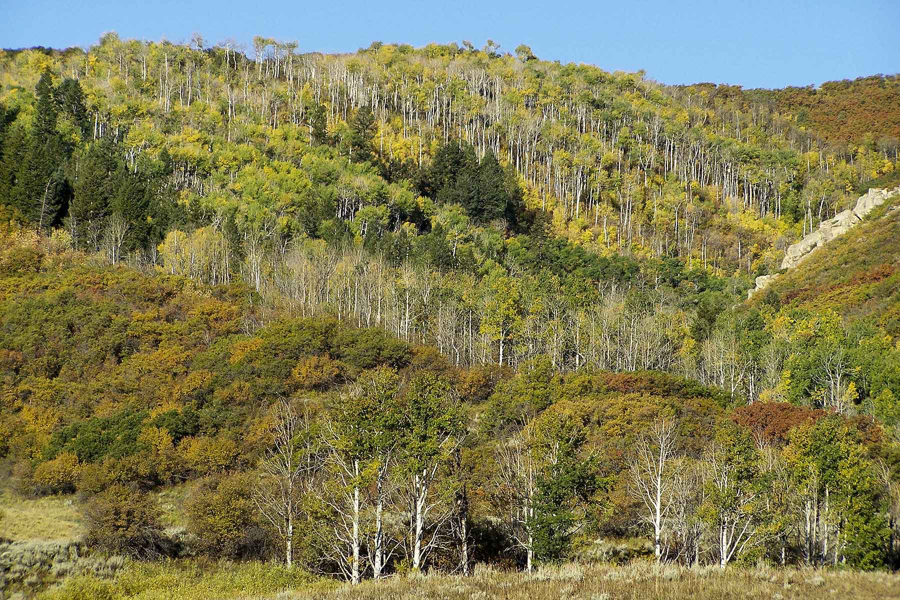 Turgoose Ranch property picture 5 of 22