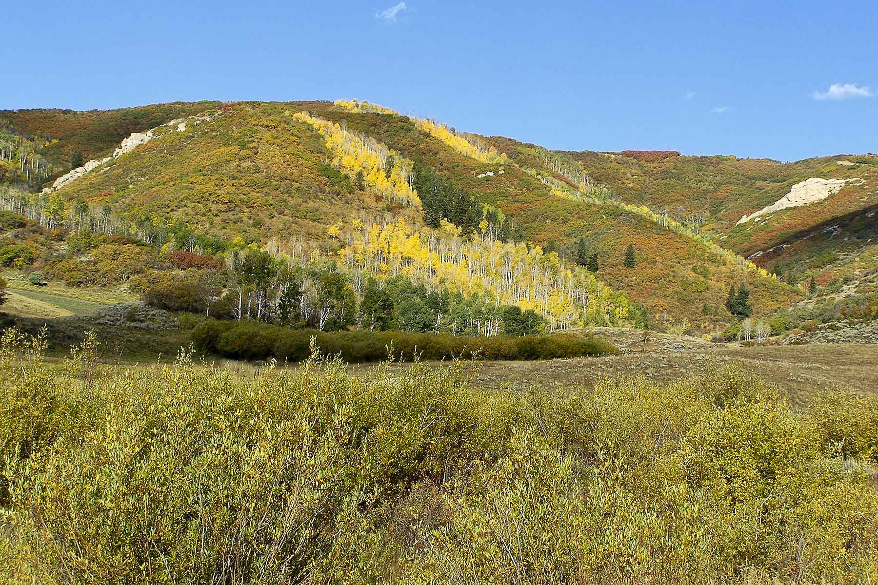 Turgoose Ranch property picture 6 of 22