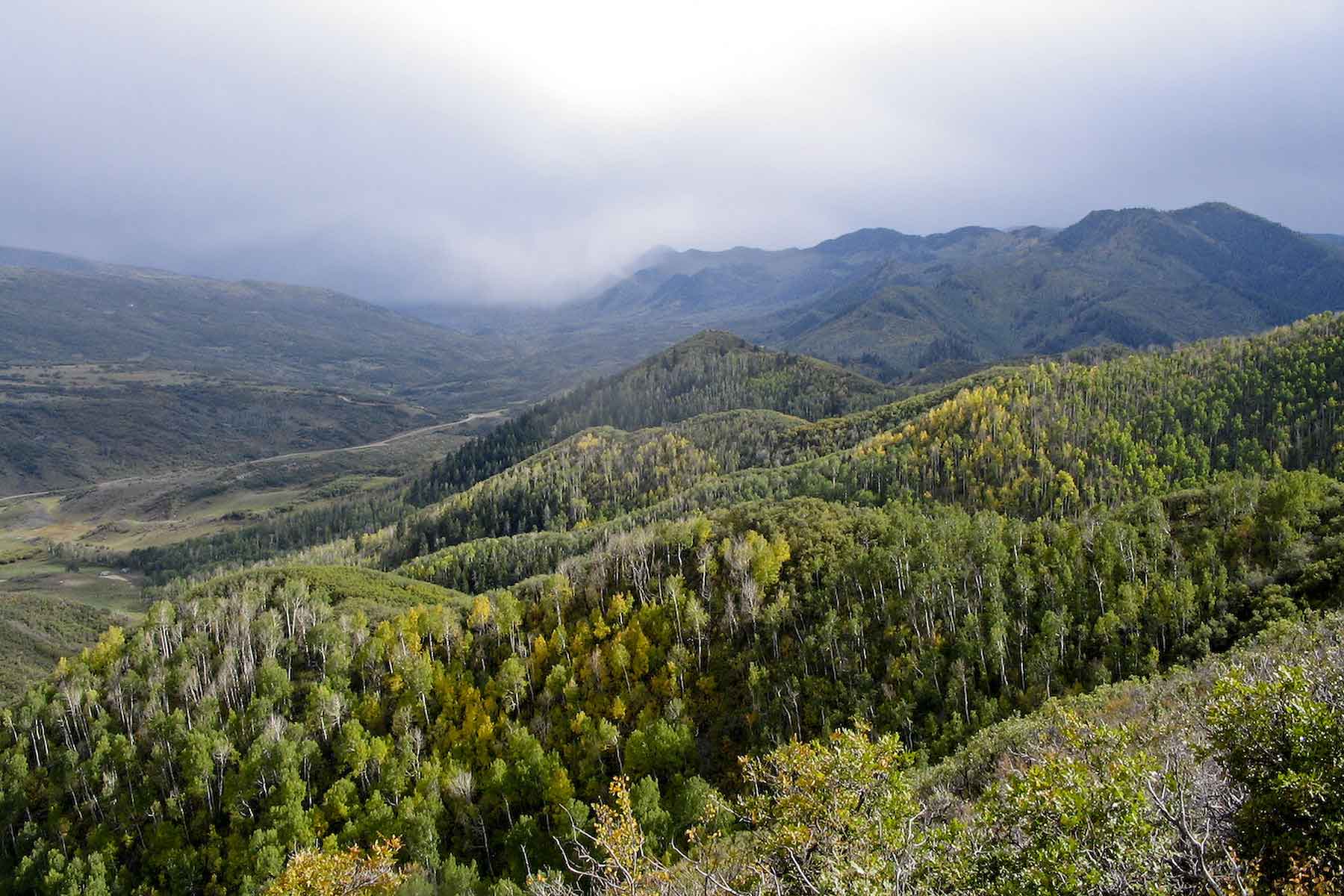 Turgoose Ranch property picture 8 of 22