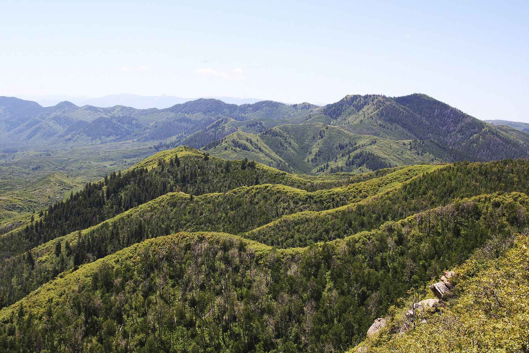 Turgoose Ranch property picture 9 of 22