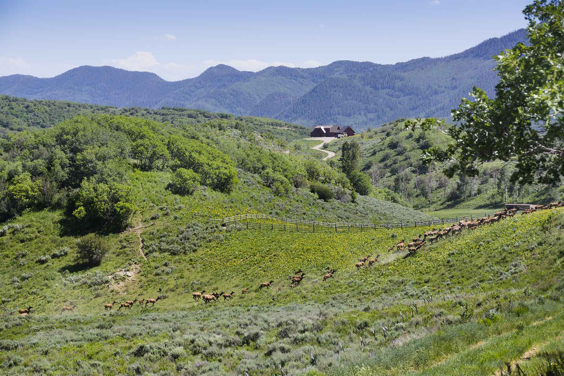 Turgoose Ranch property picture 10 of 22