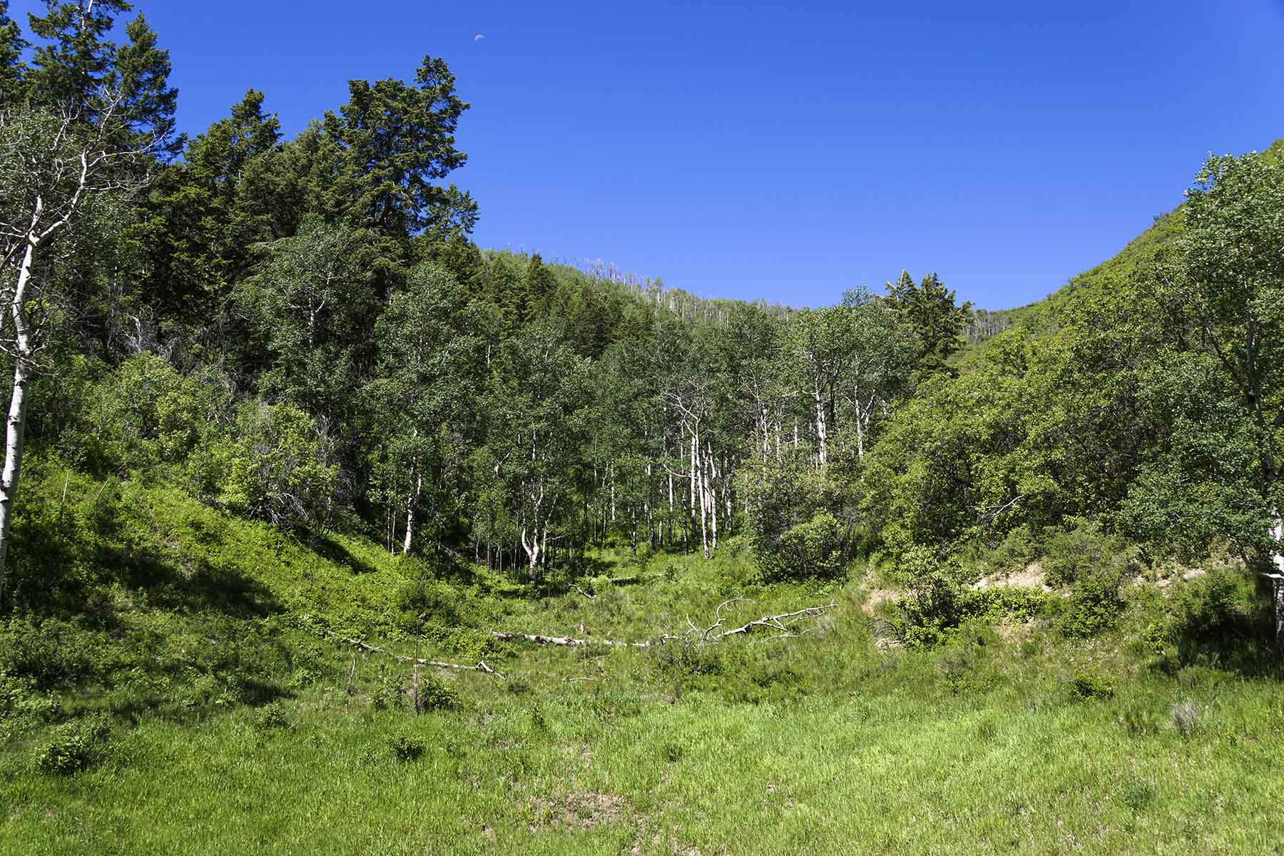 Turgoose Ranch property picture 15 of 22