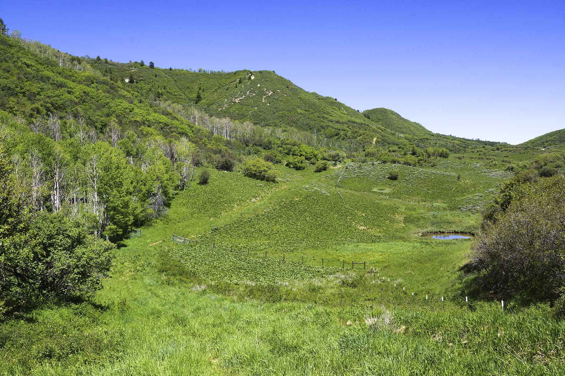 Turgoose Ranch property picture 16 of 22