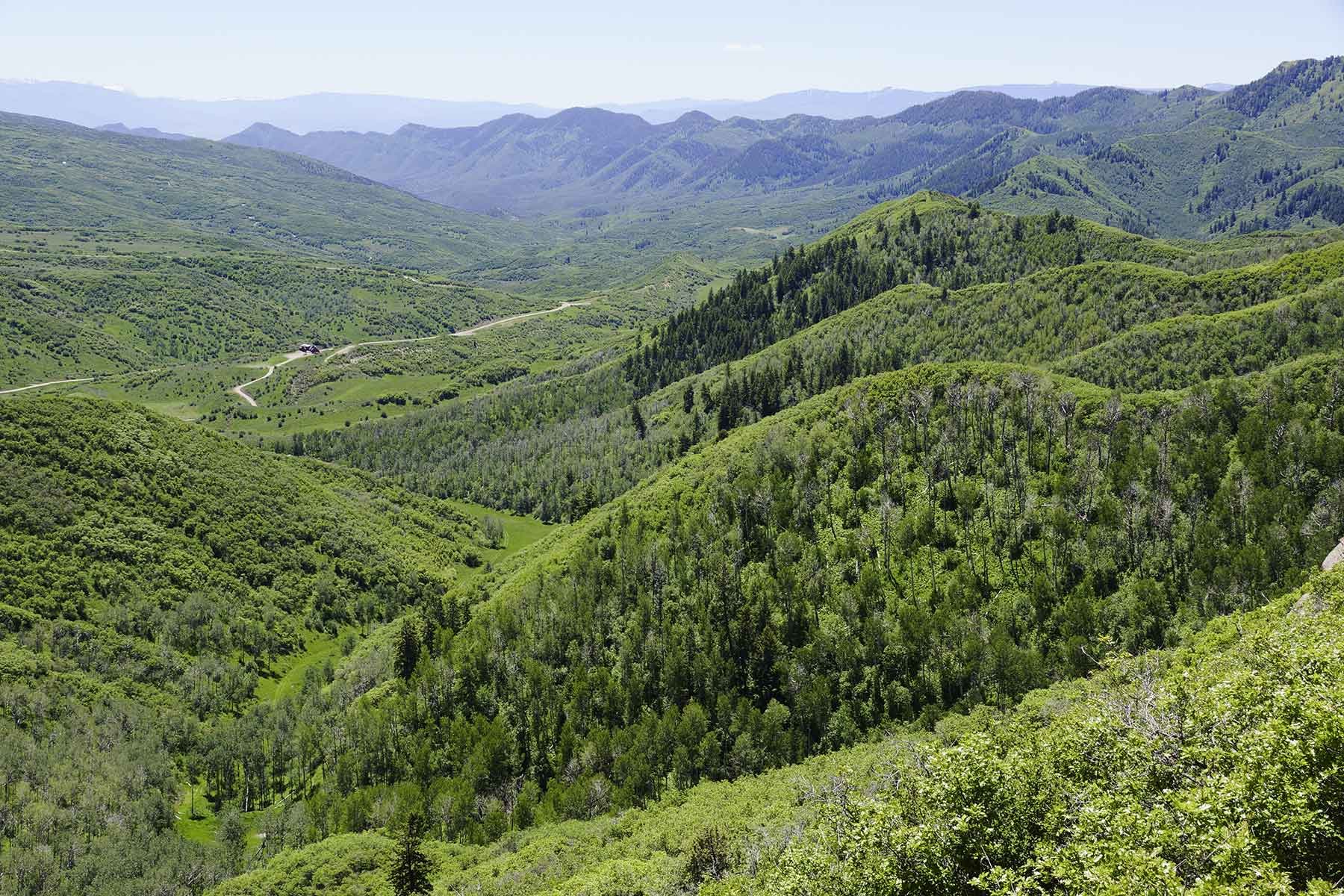 Turgoose Ranch property picture 2 of 22