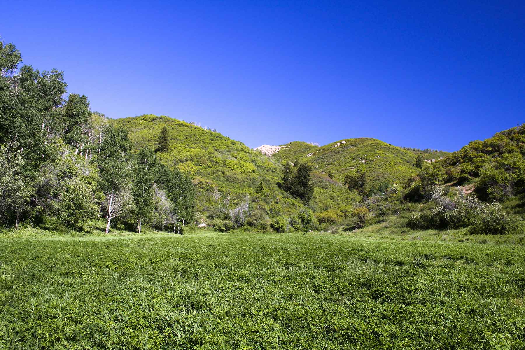 Turgoose Ranch property picture 20 of 22